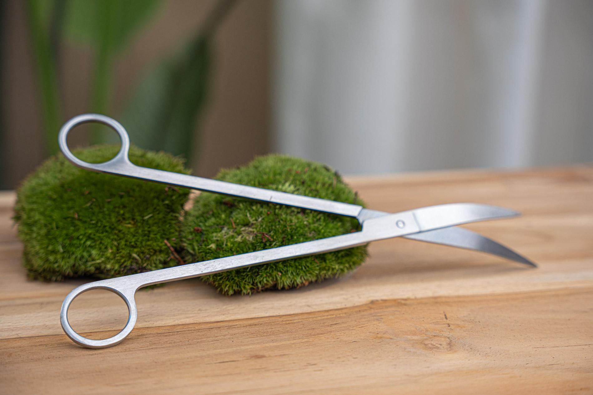 Lange terrarium-schaar - Roestvast staal (8720872024028)