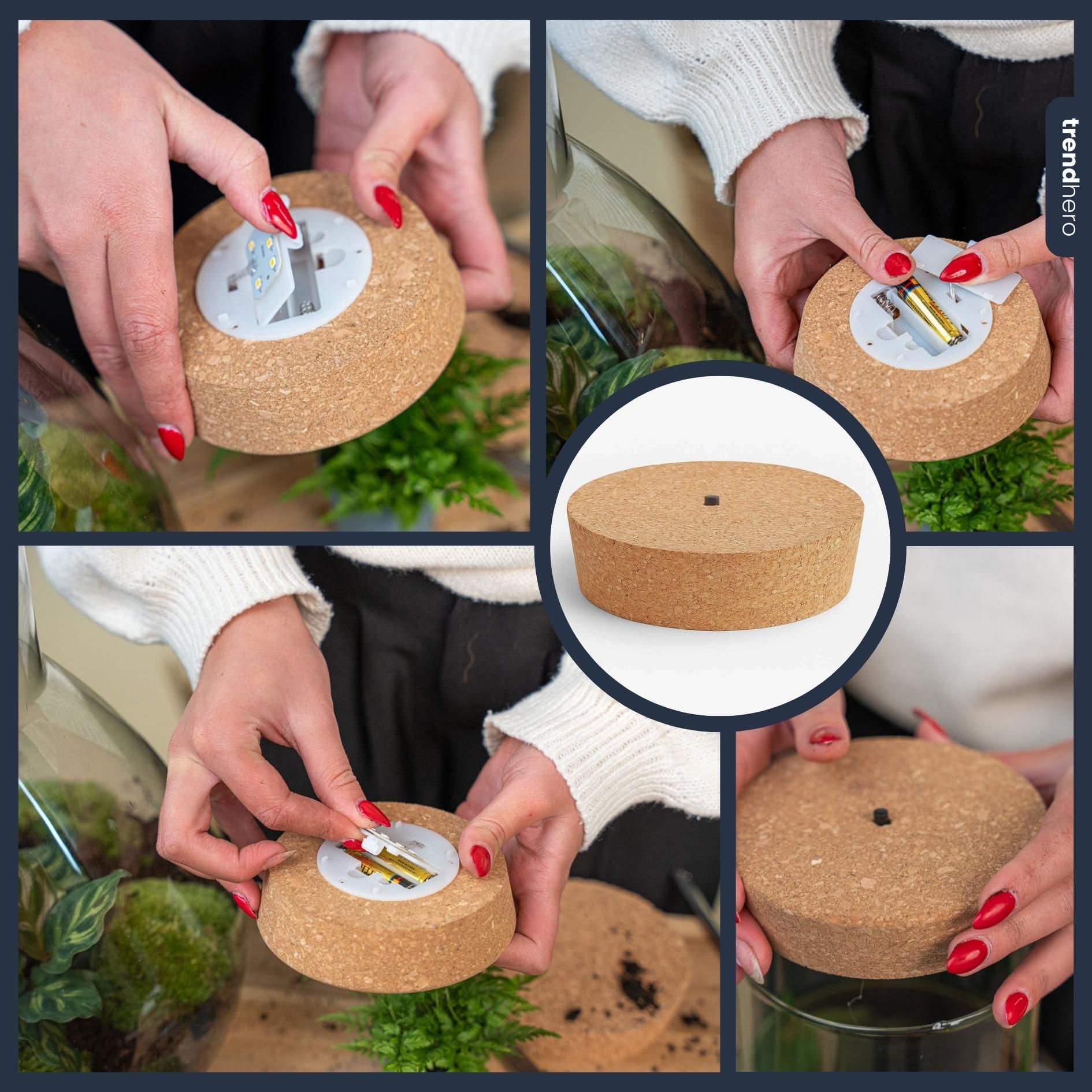 Led kurk M - Kurk met verlichting - LED lamp voor terrarium - 12 x 10,8 x 3 cm (8720872022772)