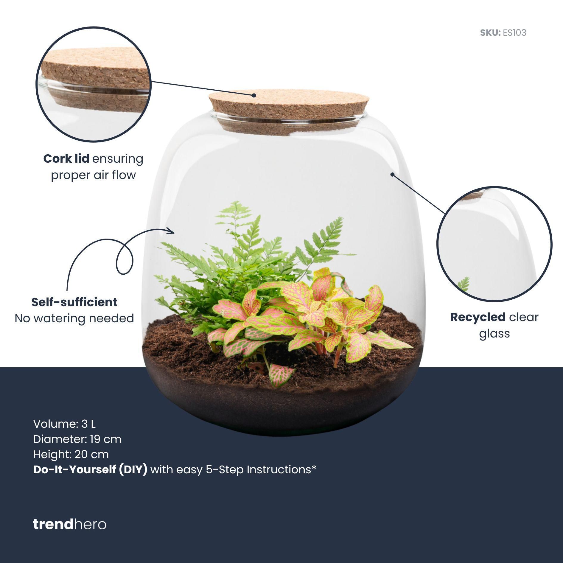 Planten terrarium - Emma Mini - DIY kit - Ø 19 cm - Fittona Ruby Lime (8720872022161)