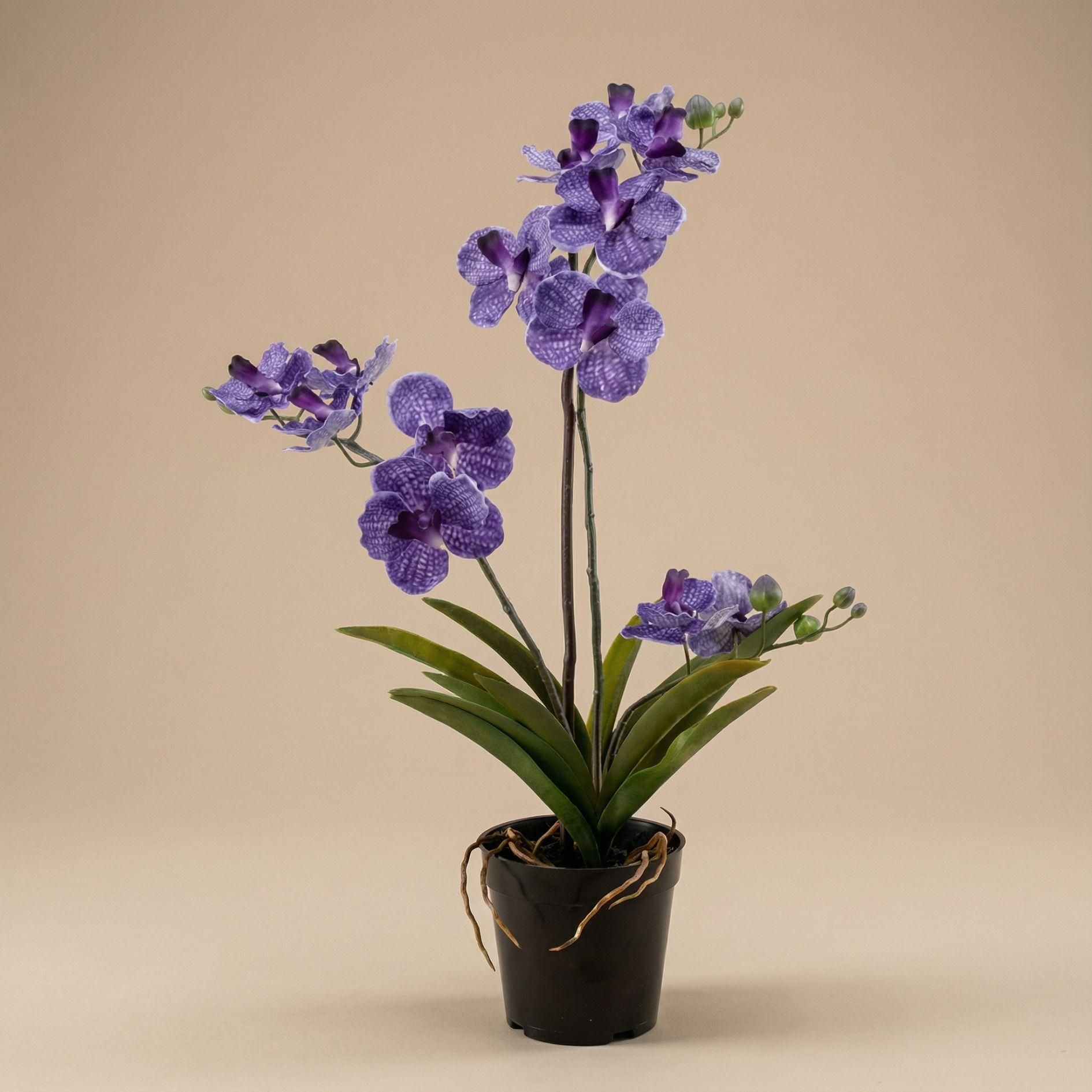 Orchidee Vanda kunstplant 60 cm - Paars - In pot - Artificial plant (8714344331929)