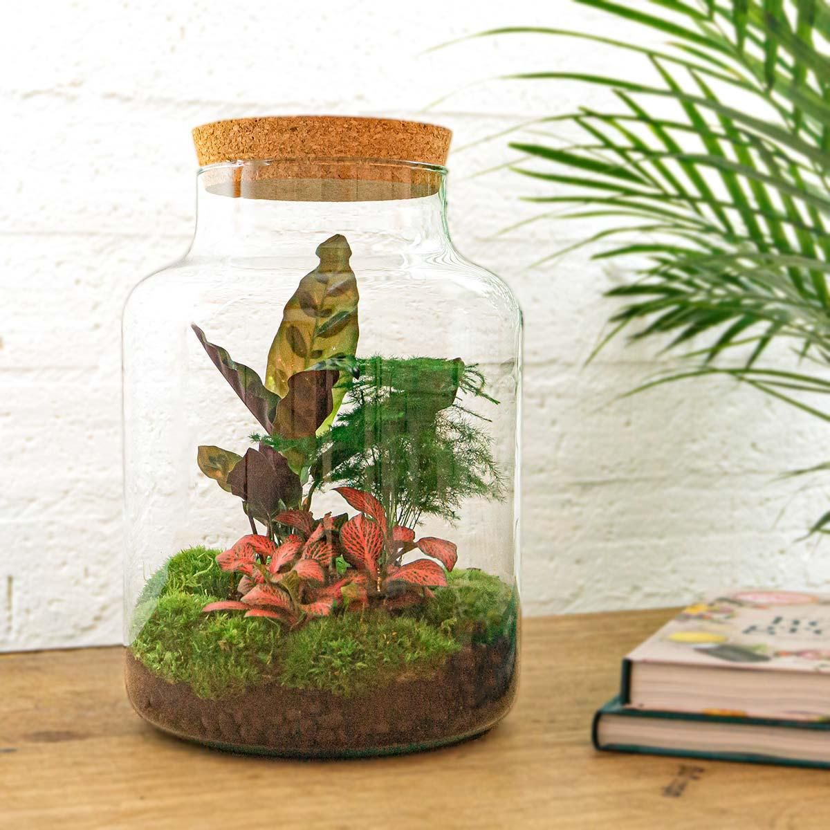 DIY Planten terrarium met licht - Milky - Ø 21 cm ↑ 30 cm - Rake + Shovel + Tweezer (8720726958141)