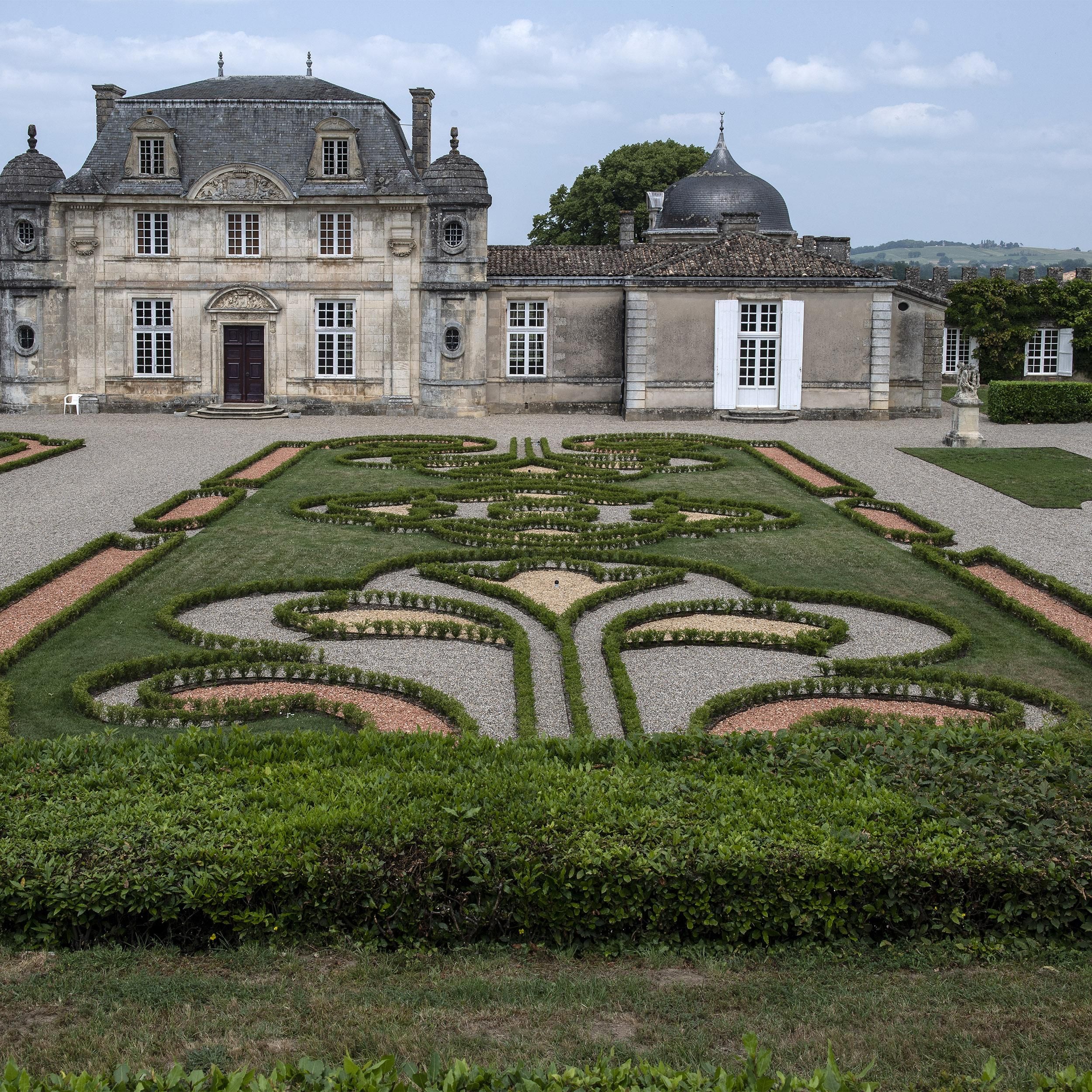 Buxus Haag - BetterBuxus Babylon Beauty - Resistant tegen de Buxus Schimmel - 14 planten - 2 strekkende meter - pot 10,5cm hoogte 25-30 (8720862103542)