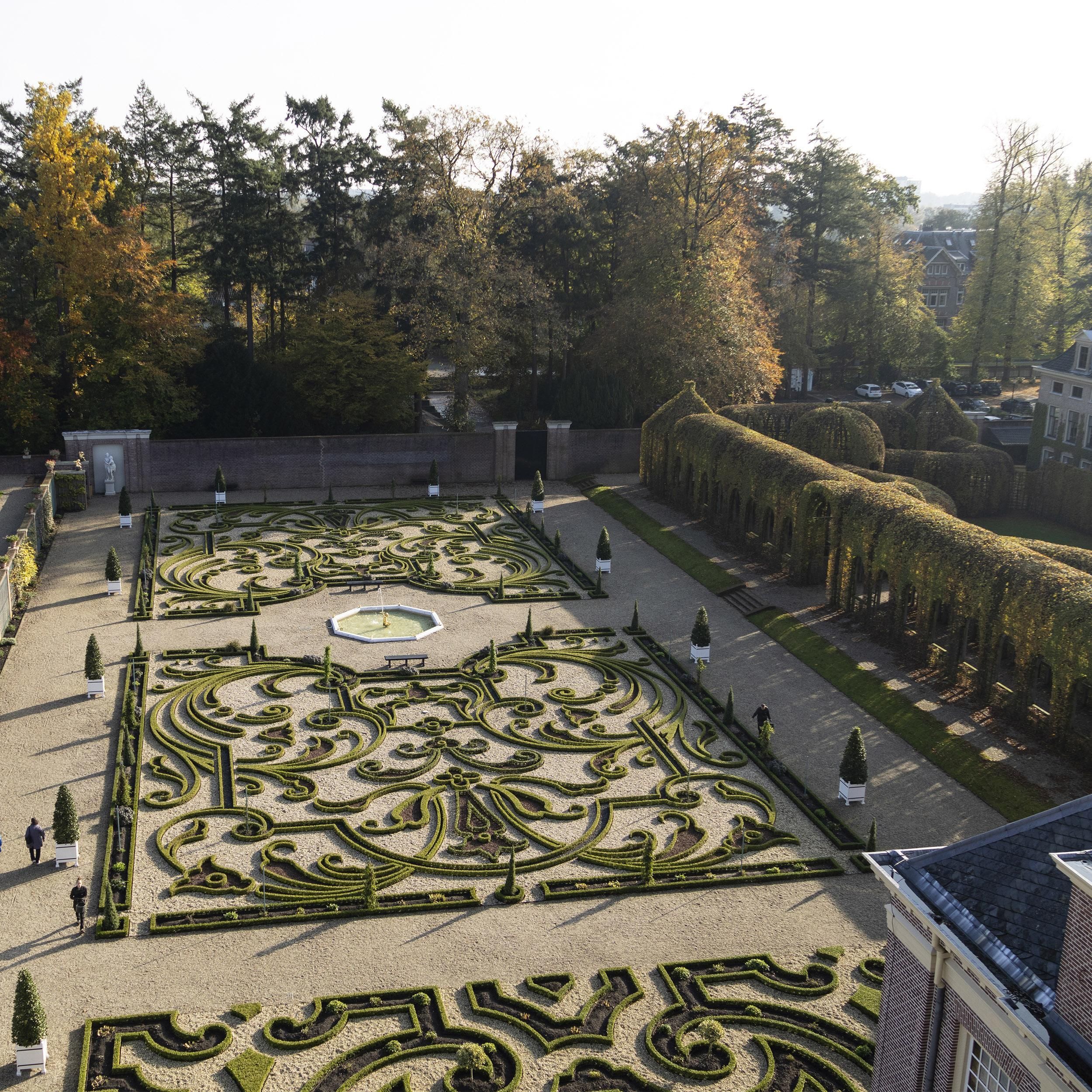 Buxus Haag - BetterBuxus Babylon Beauty - Resistant tegen de Buxus Schimmel - 14 planten - 2 strekkende meter - pot 10,5cm hoogte 25-30 (8720862103542)