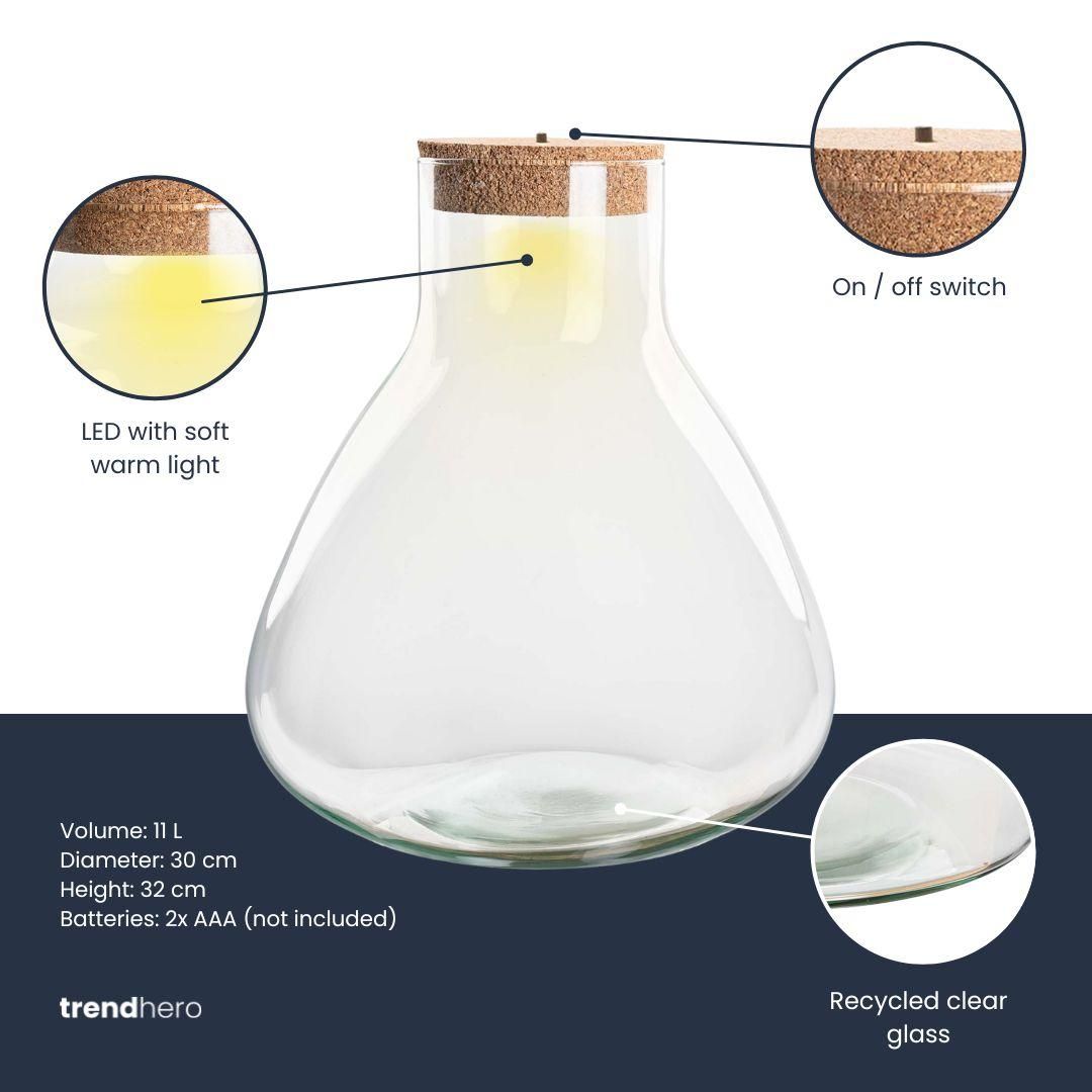 Terrarium fles met verlichting - Sam XL - Ø 30 cm ↑ 32 cm (8720872023625)