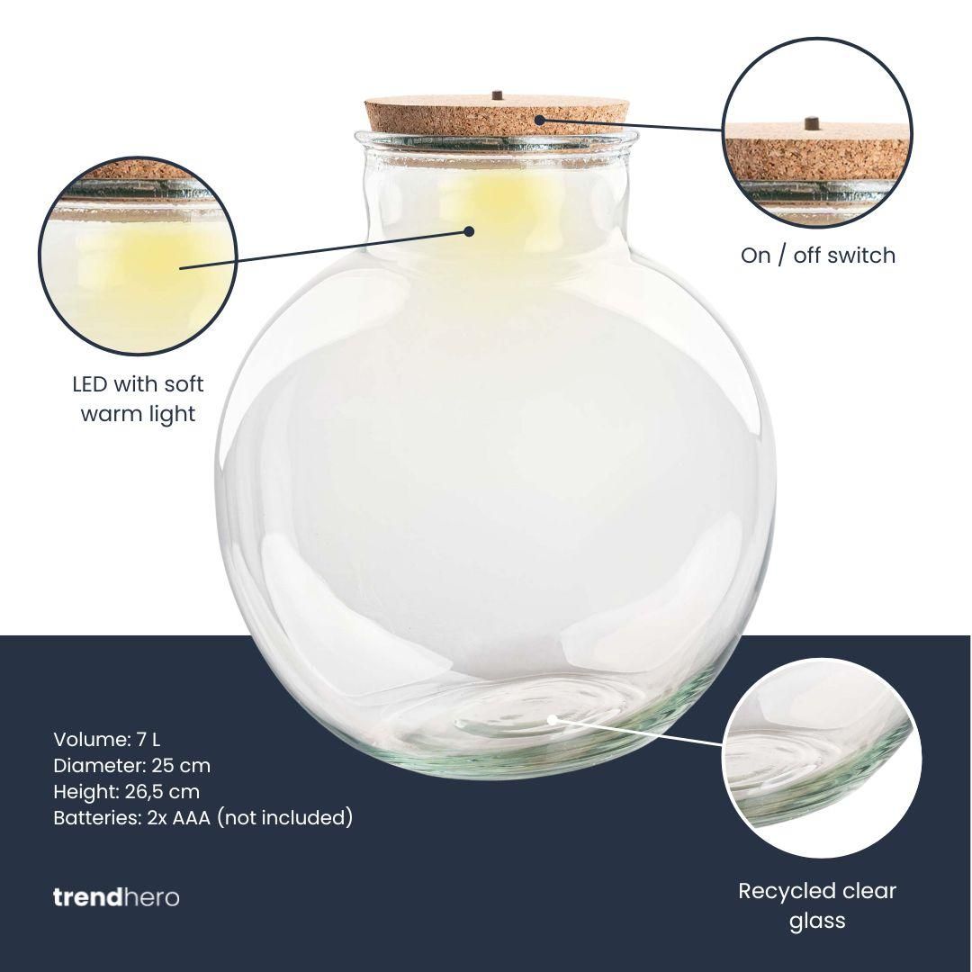 Terrarium fles (met) verlichting - Teddy - Ø 25 cm ↑ 26,5 cm - Met LED-kurk (8720872023632)