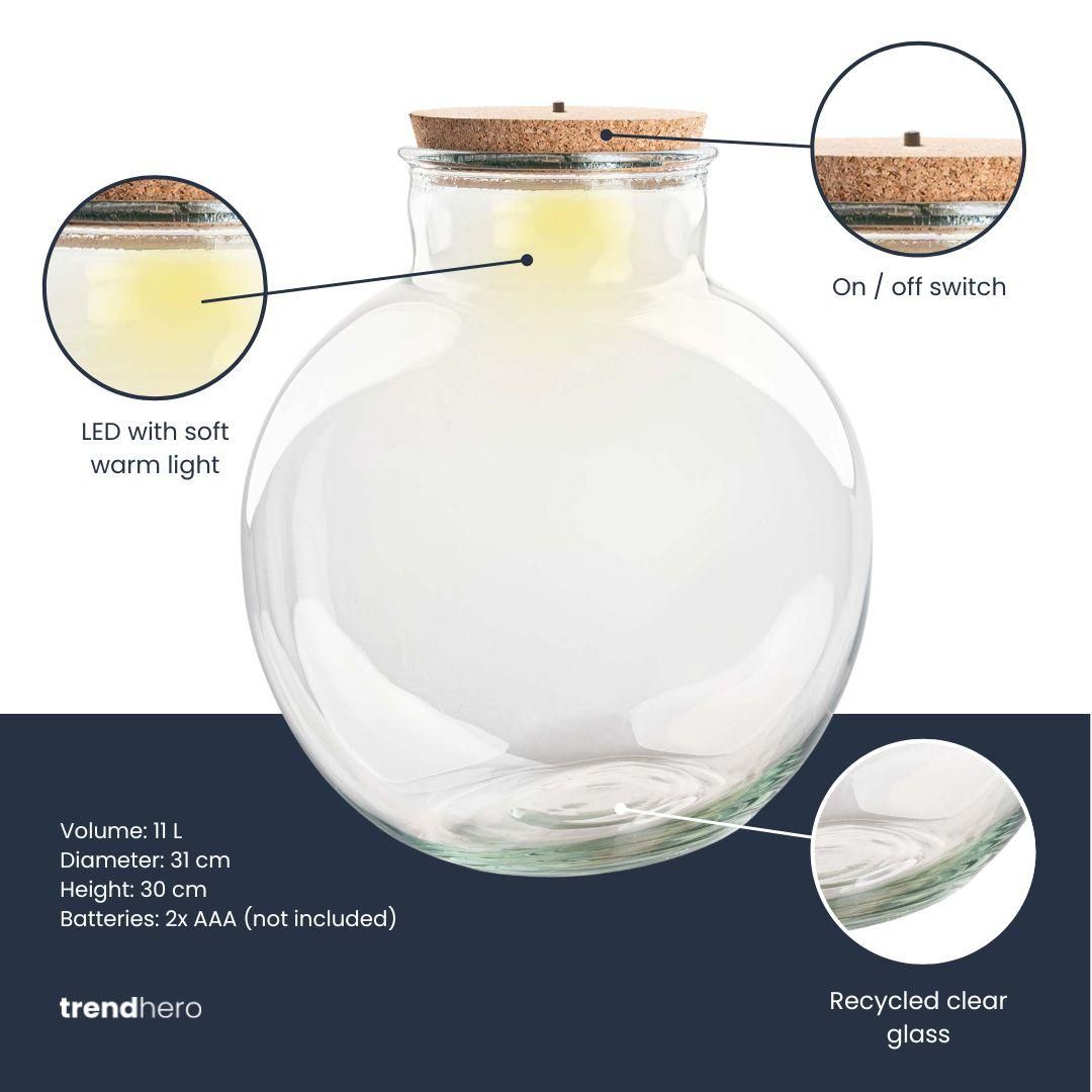 Terrarium fles met (LED) kurk - Bolder Bob - Ø 30 cm ↑ 31 cm - Met LED-kurk (53749)