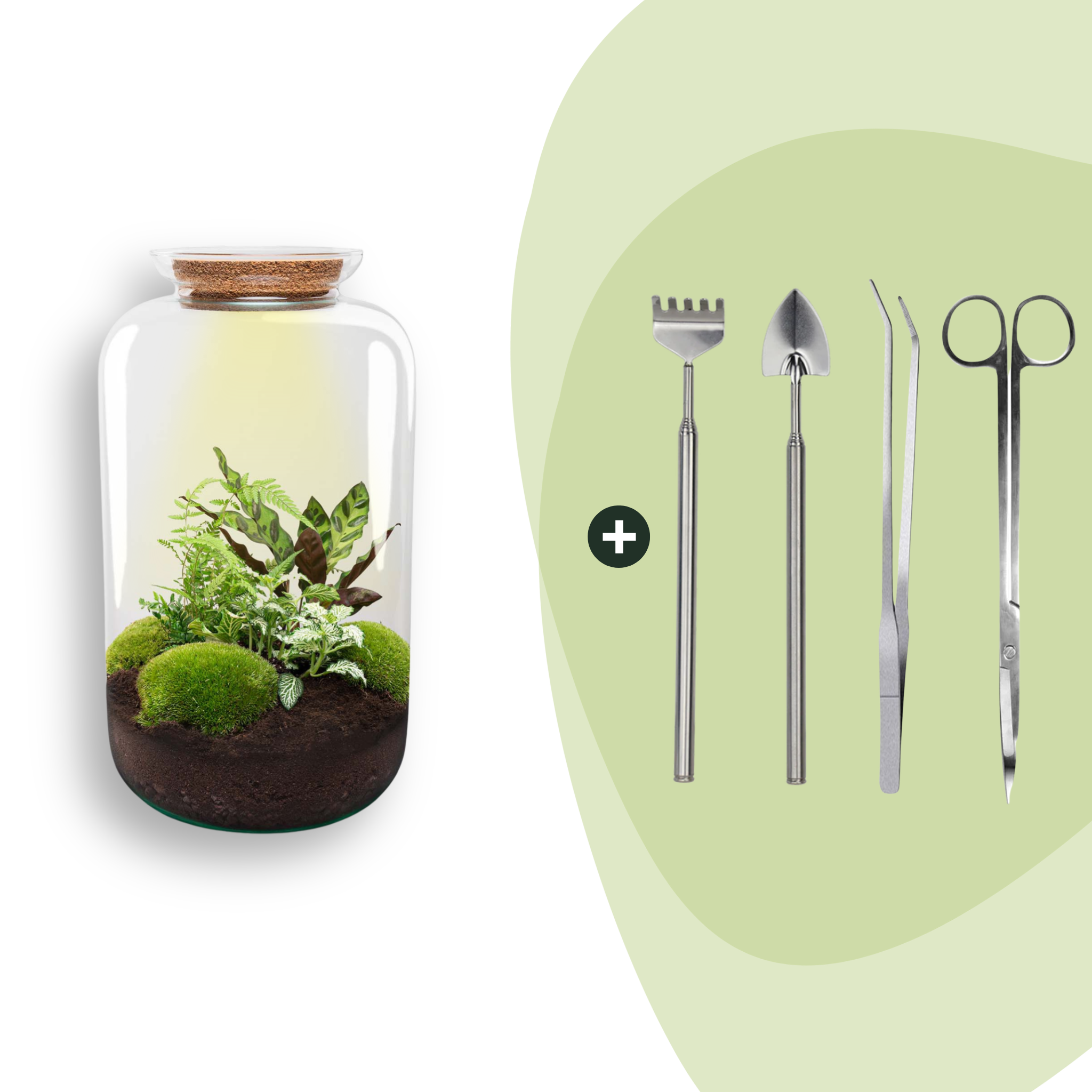 DIY Planten terrarium met licht - Sven XL Botanical - Ø 23 cm ↑ 43 cm - Rake + Shovel + Tweezer + Scissors (8720872020501)