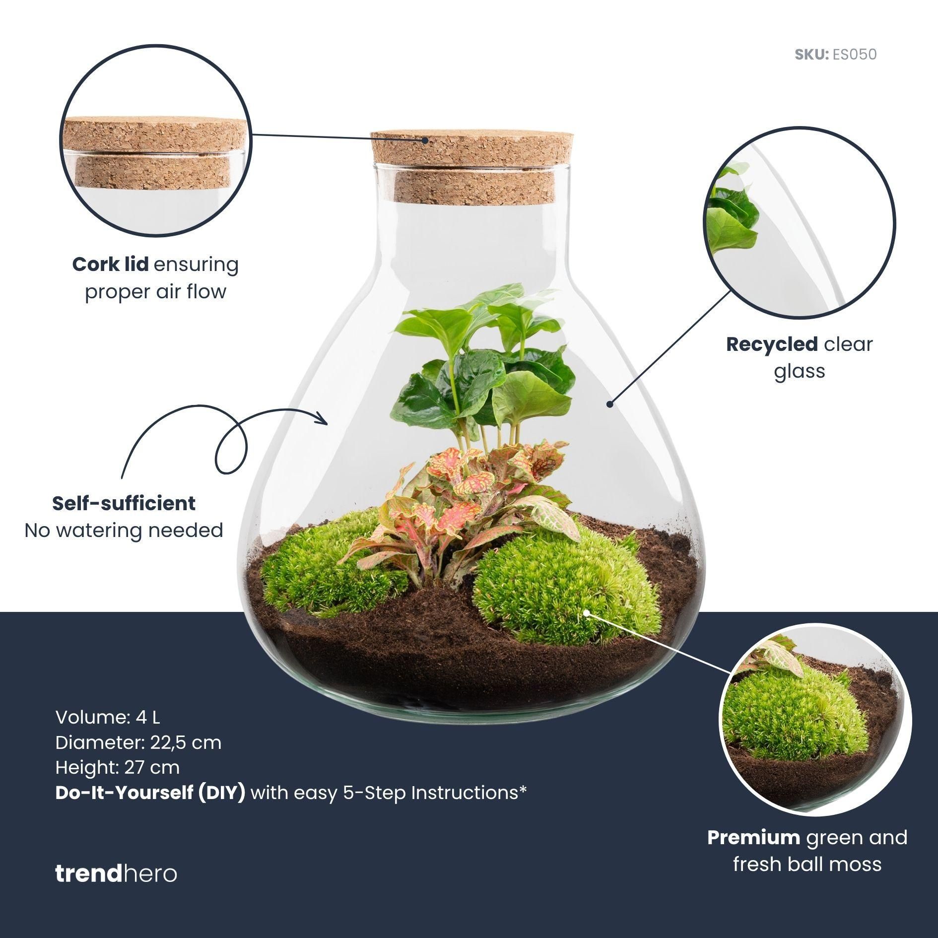 DIY terrarium - Sammie Coffea Red - Ø 22,5 cm ↑ 27 cm - Rake + Shovel + Tweezer + Scissors (8720872020396)