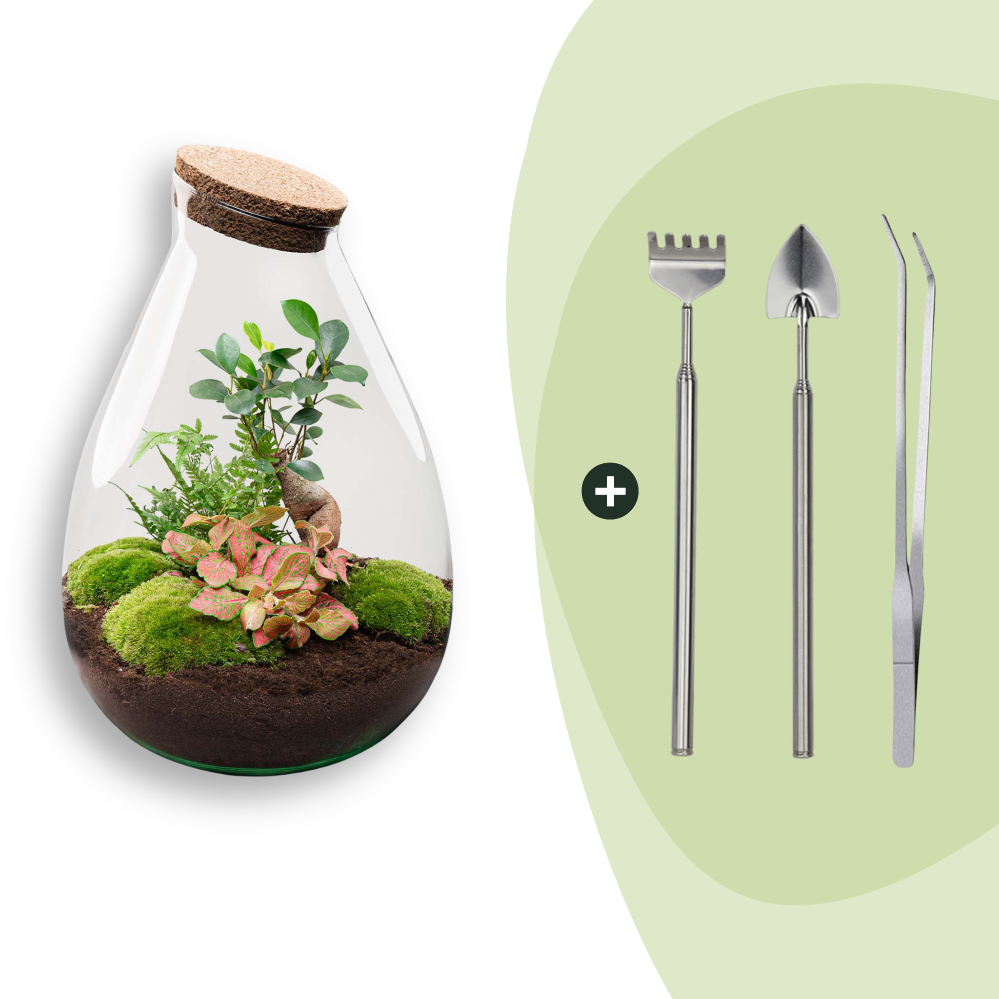 DIY Planten terrarium - Drop XL Bonsai 'red' - Ø 24 cm ↑ 37 cm - Rake + Shovel + Tweezer (8720726958806)