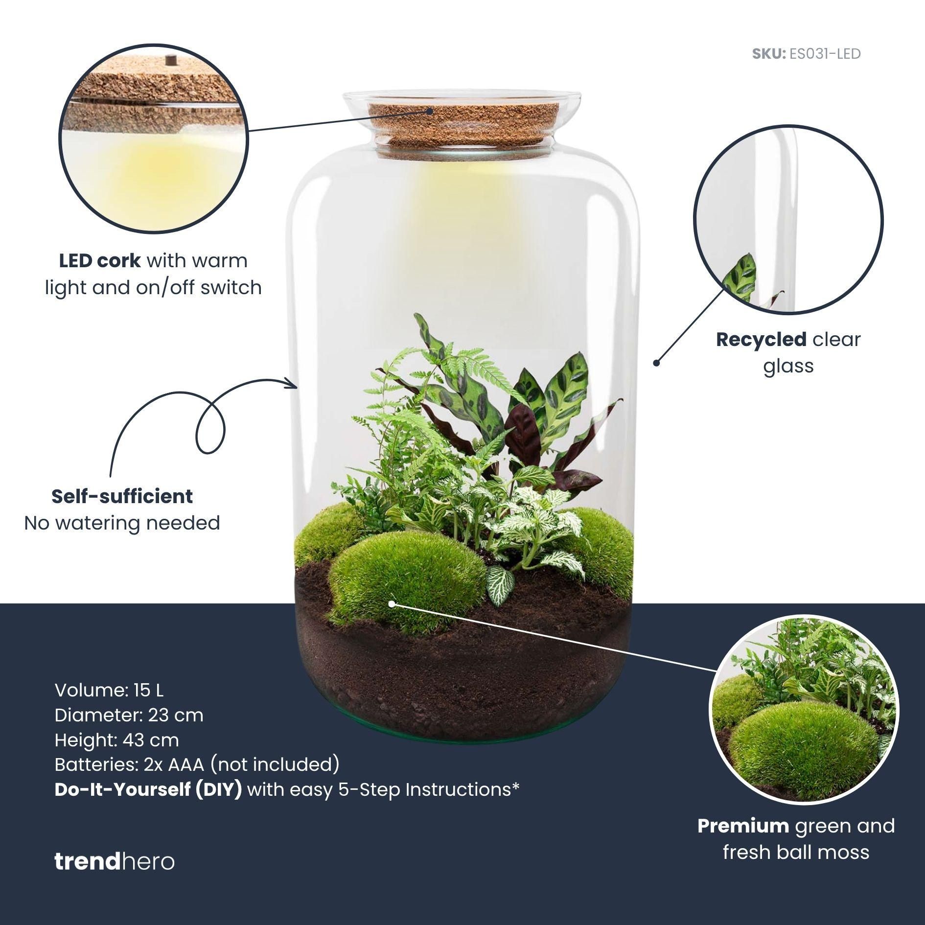 DIY Planten terrarium met licht - Sven XL Botanical - Ø 23 cm ↑ 43 cm - Rake + Shovel + Tweezer (8720872020495)