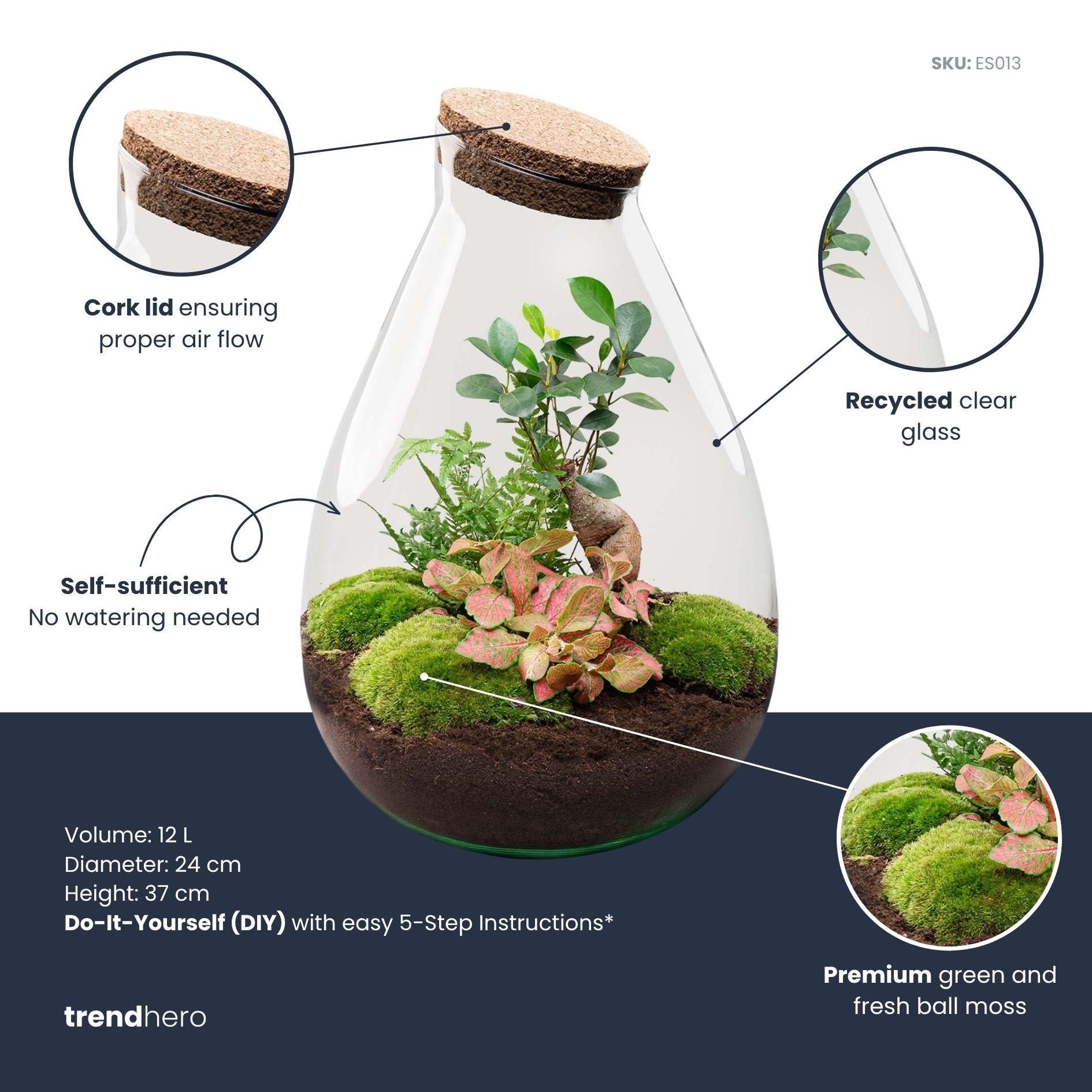 DIY Planten terrarium - Drop XL Bonsai 'red' - Ø 24 cm ↑ 37 cm - Rake + Shovel (8720726958790)