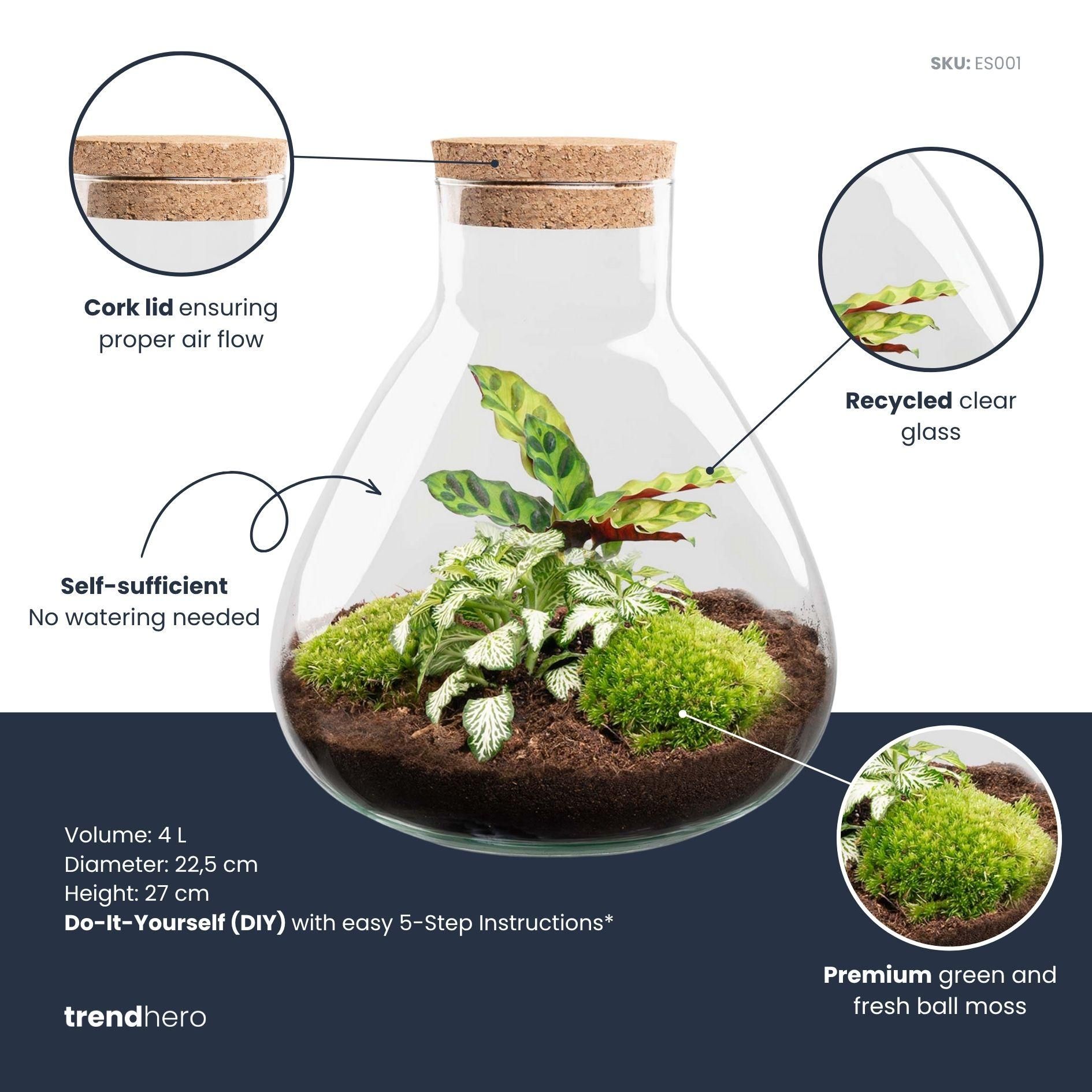 DIY terrarium - Sammie Calathea - Rake + Shovel + Tweezer (8720726958011)