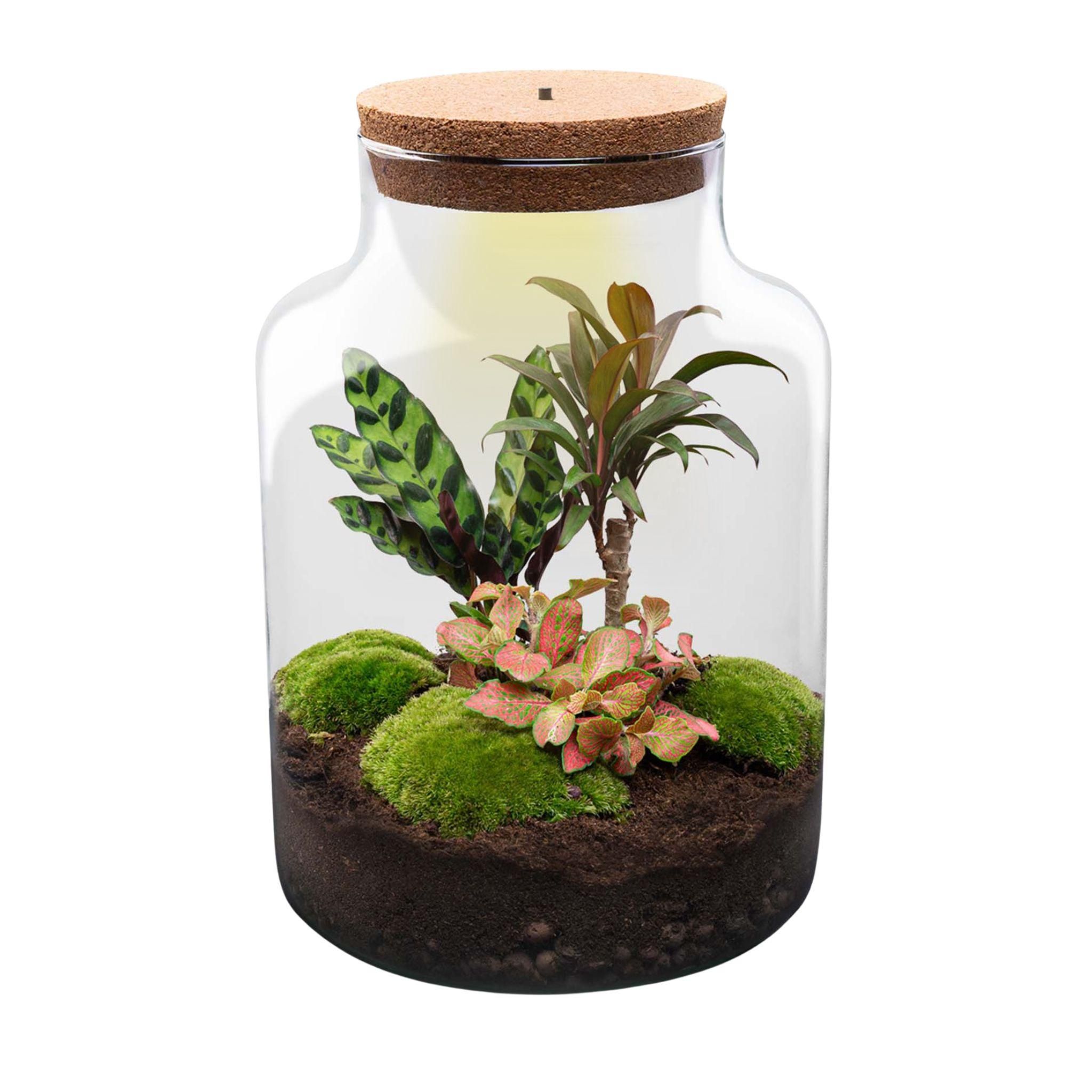 DIY Planten terrarium met licht - Milky - Ø 21 cm ↑ 30 cm - Rake + Shovel (8720726958134)