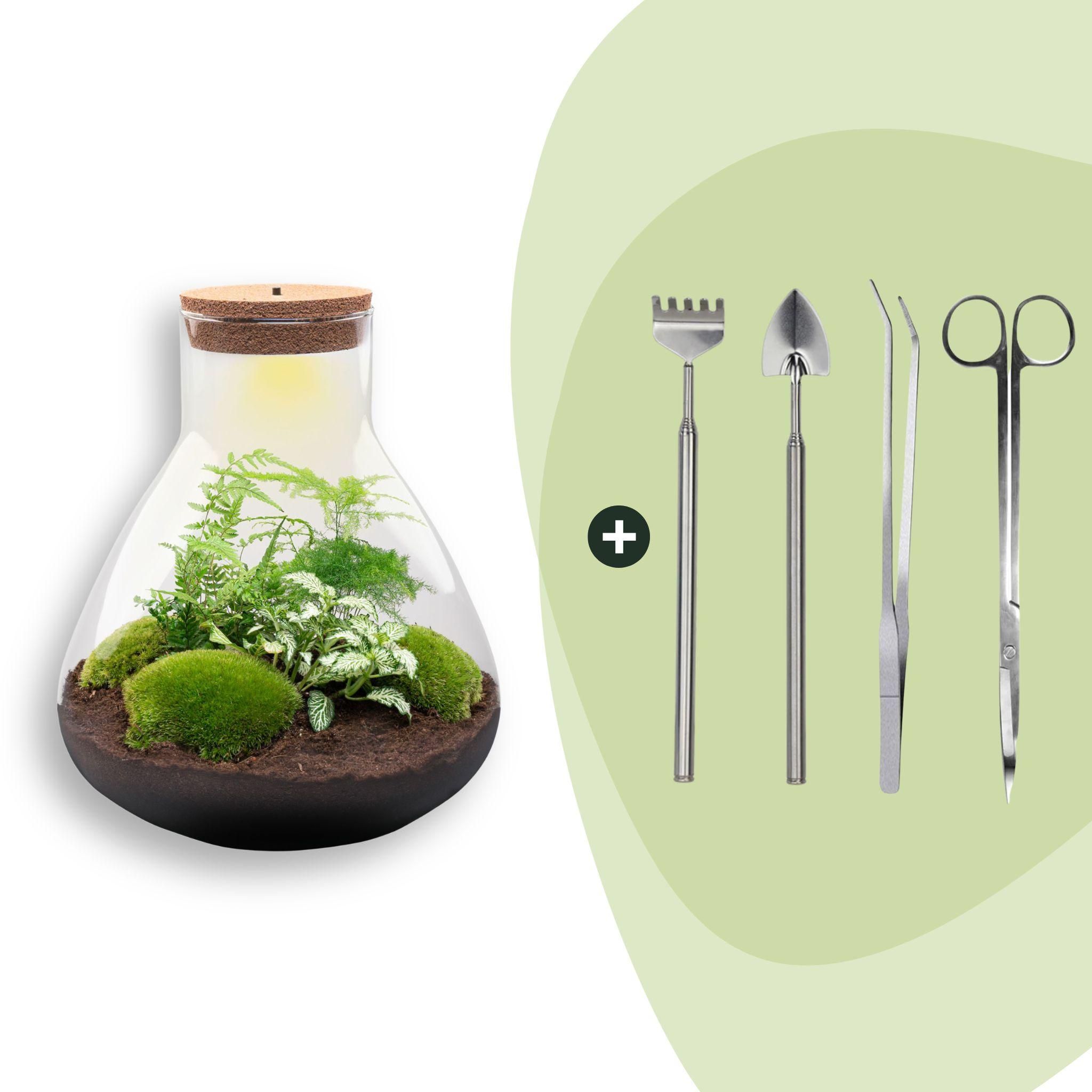 DIY Planten terrarium met licht - Sam XL Green - Ø 30 cm ↑ 32 cm - Rake + Shovel + Tweezer + Scissors (8720726958059)