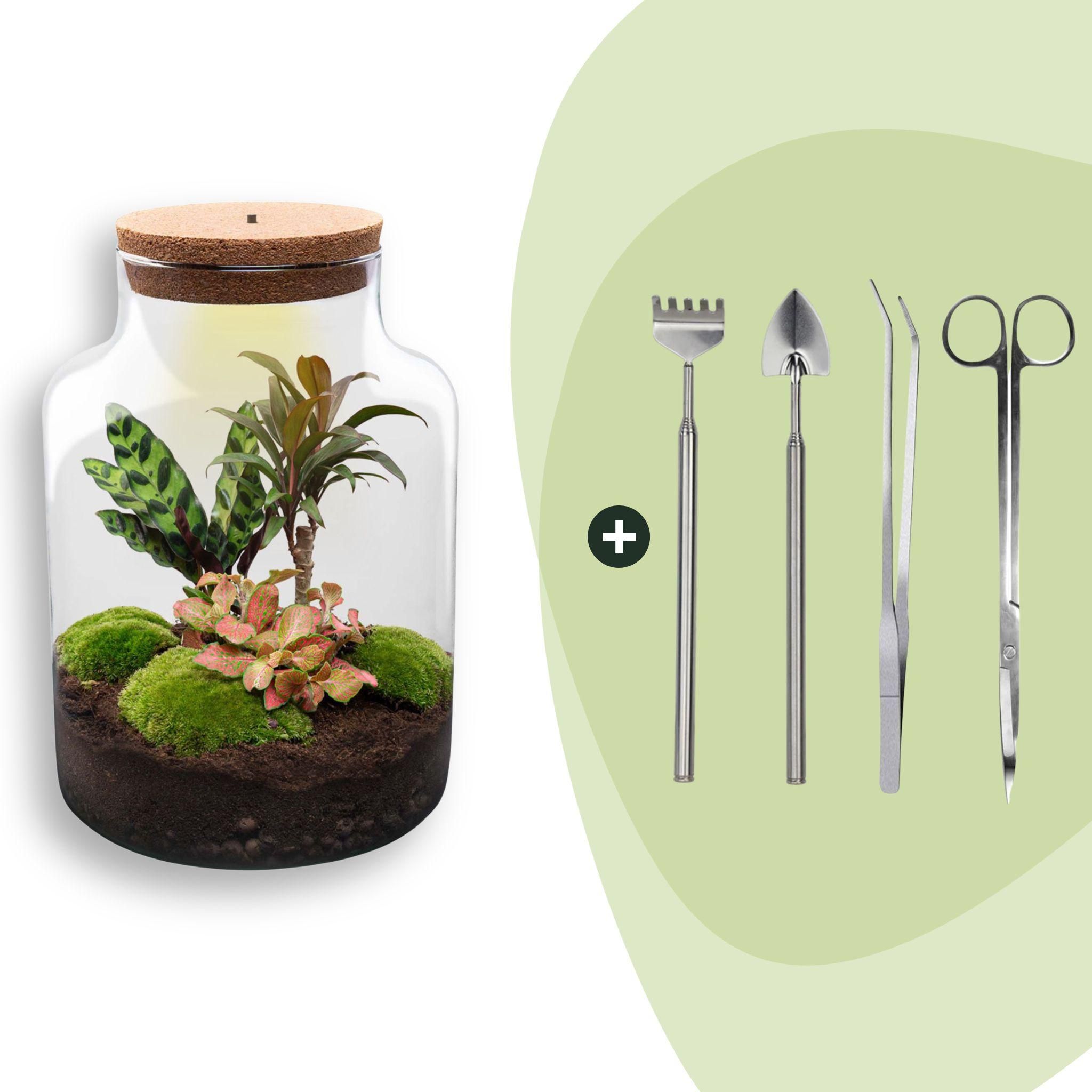 DIY Planten terrarium met licht - Milky - Ø 21 cm ↑ 30 cm - Rake + Shovel + Tweezer + Scissors (8720726958158)