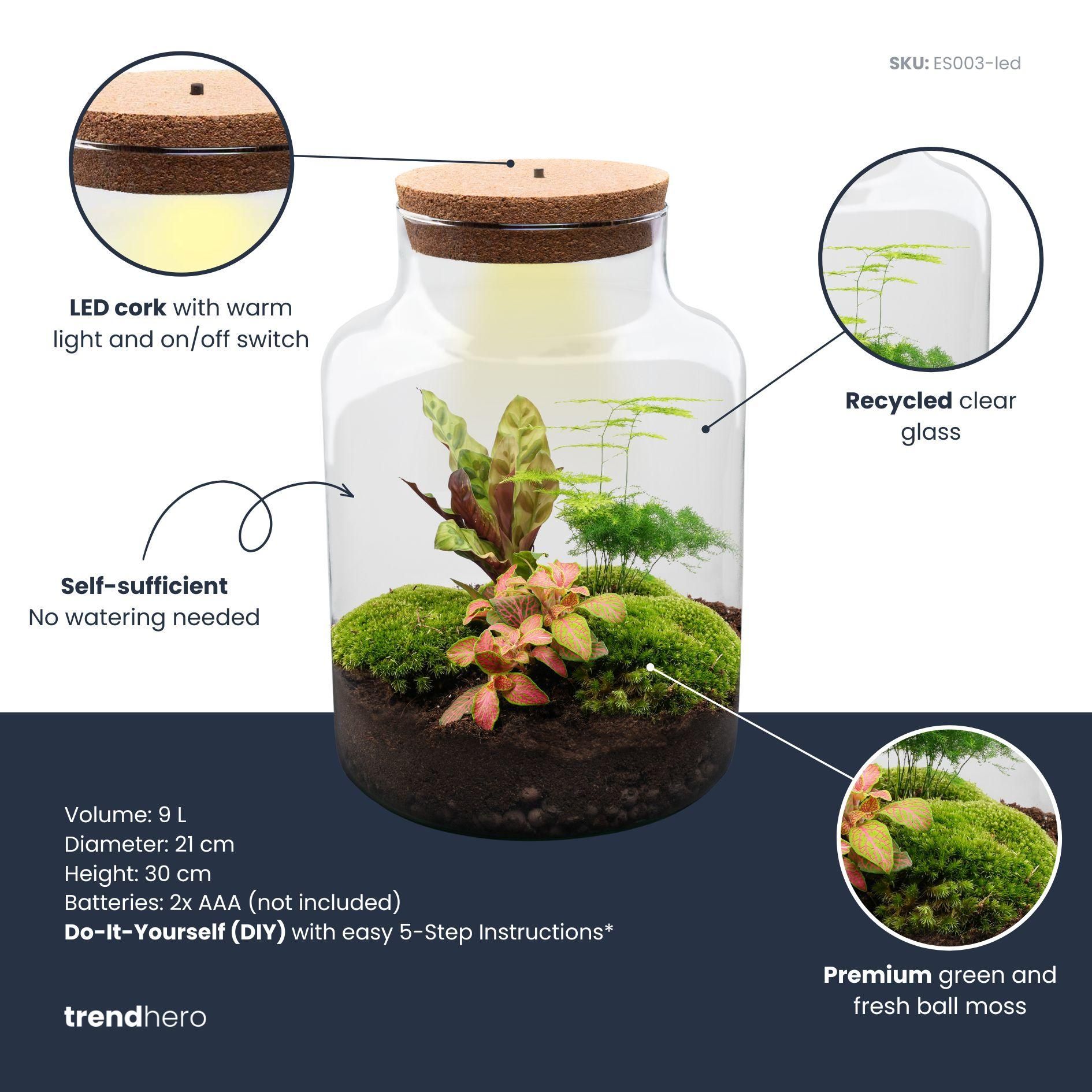 DIY Planten terrarium met licht - Milky - Ø 21 cm ↑ 30 cm - Rake + Shovel + Tweezer + Scissors (8720726958158)