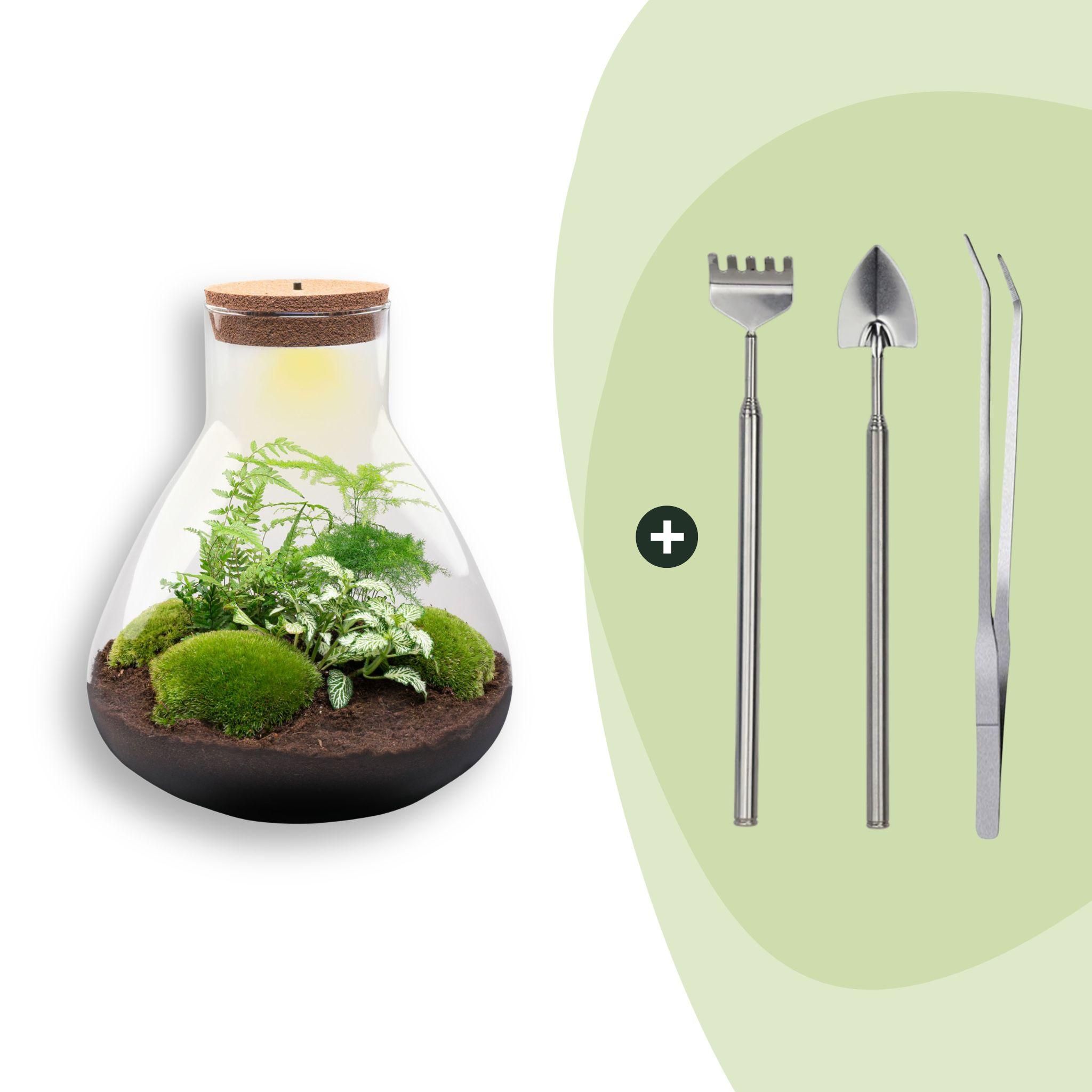 DIY Planten terrarium met licht - Sam XL Green - Ø 30 cm ↑ 32 cm - Rake + Shovel + Tweezer (8720726958042)