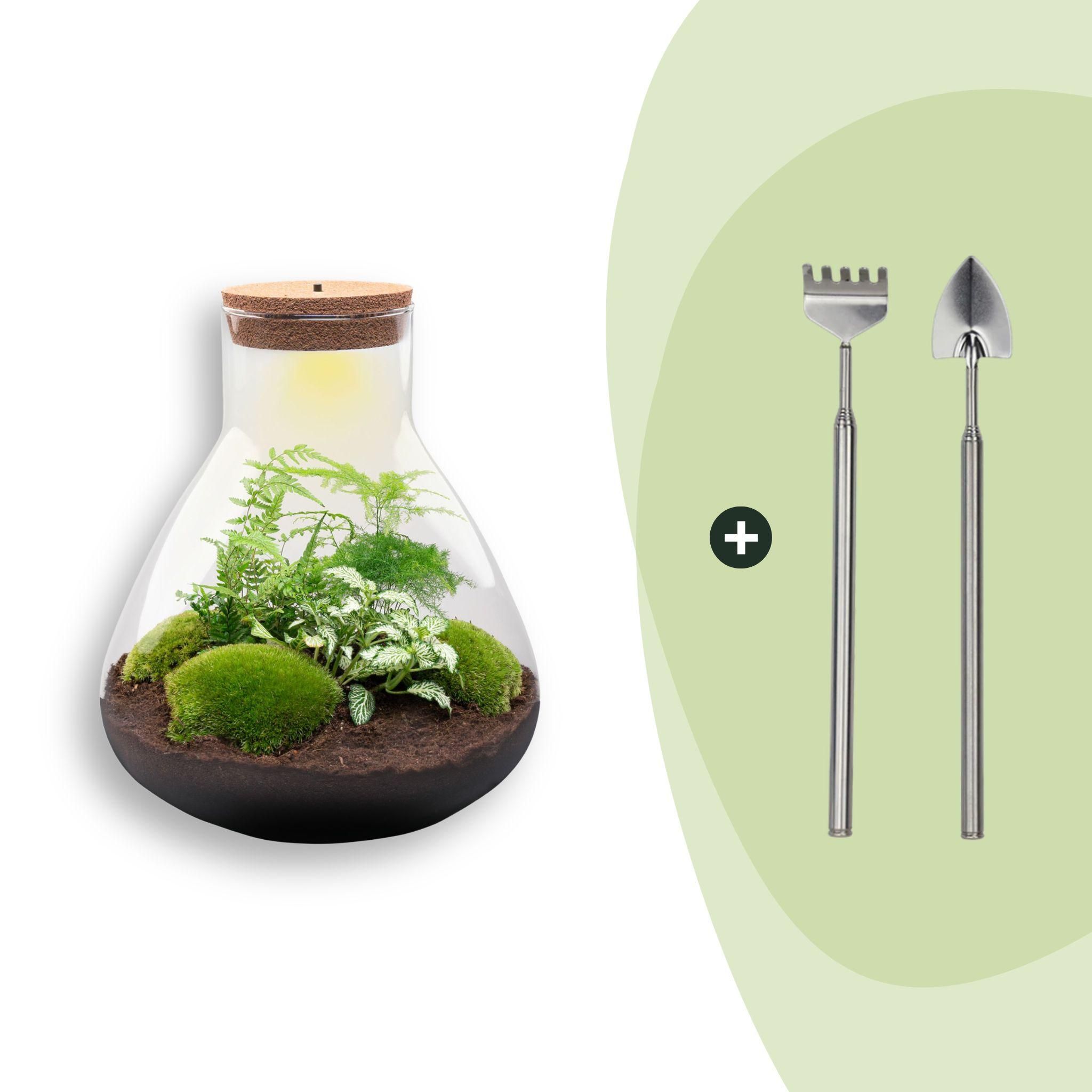 DIY Planten terrarium met licht - Sam XL Green - Ø 30 cm ↑ 32 cm - Rake + Shovel (8720726958035)