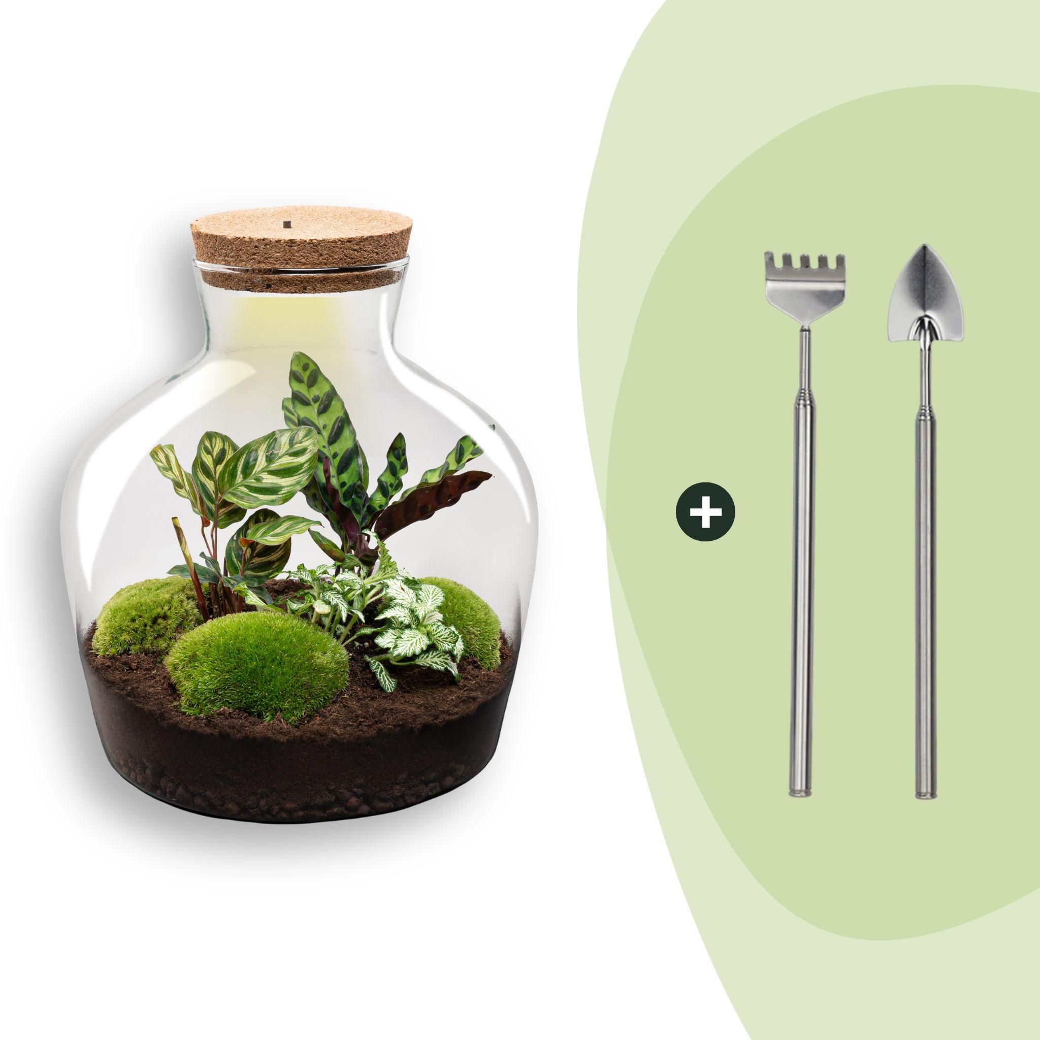 DIY Planten terrarium met licht - Fat Joe - Ø 29 cm ↑ 30 cm - Rake + Shovel (8720726958523)