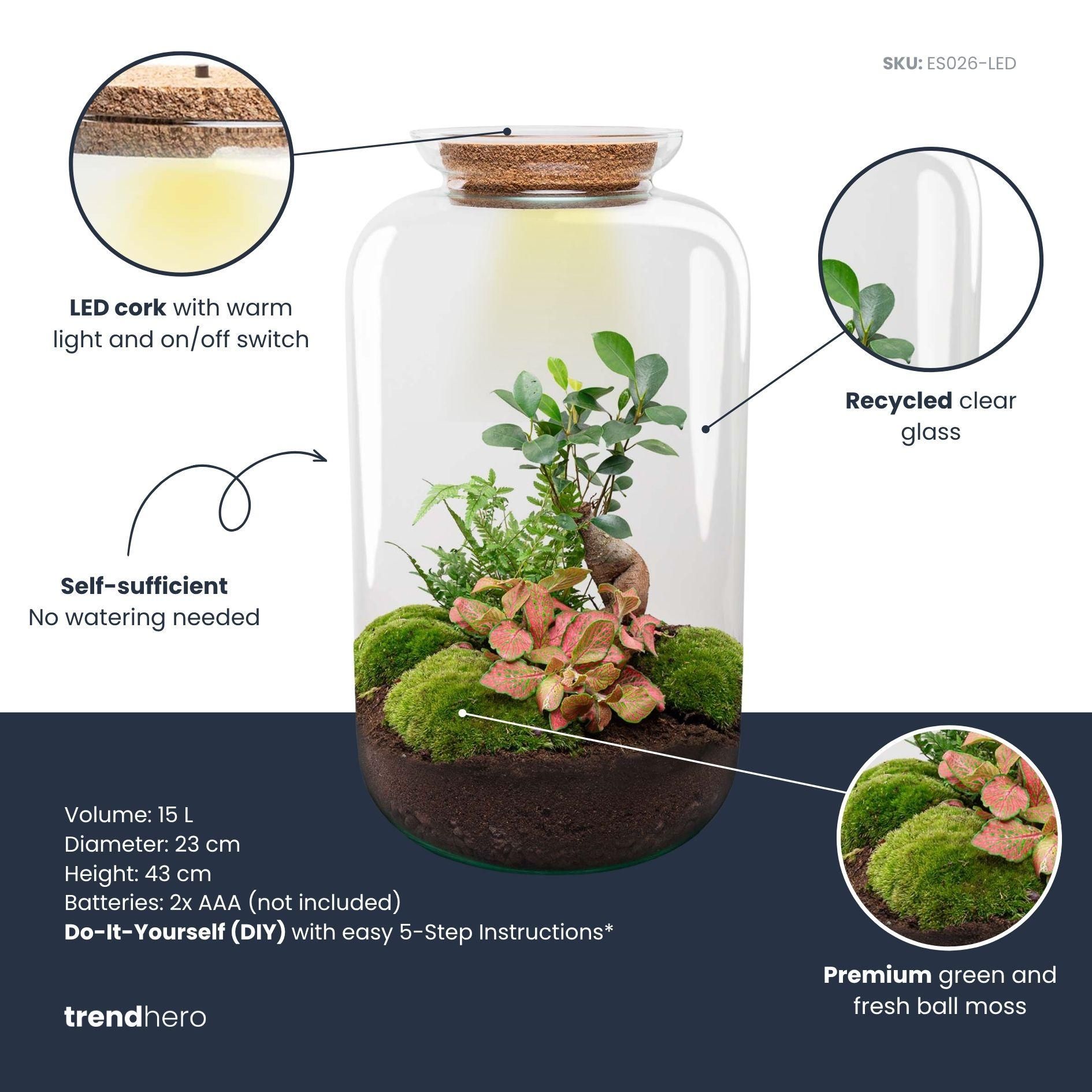 DIY terrarium - Sven Bonsai - Met verlichting - Normal (8719327599884)