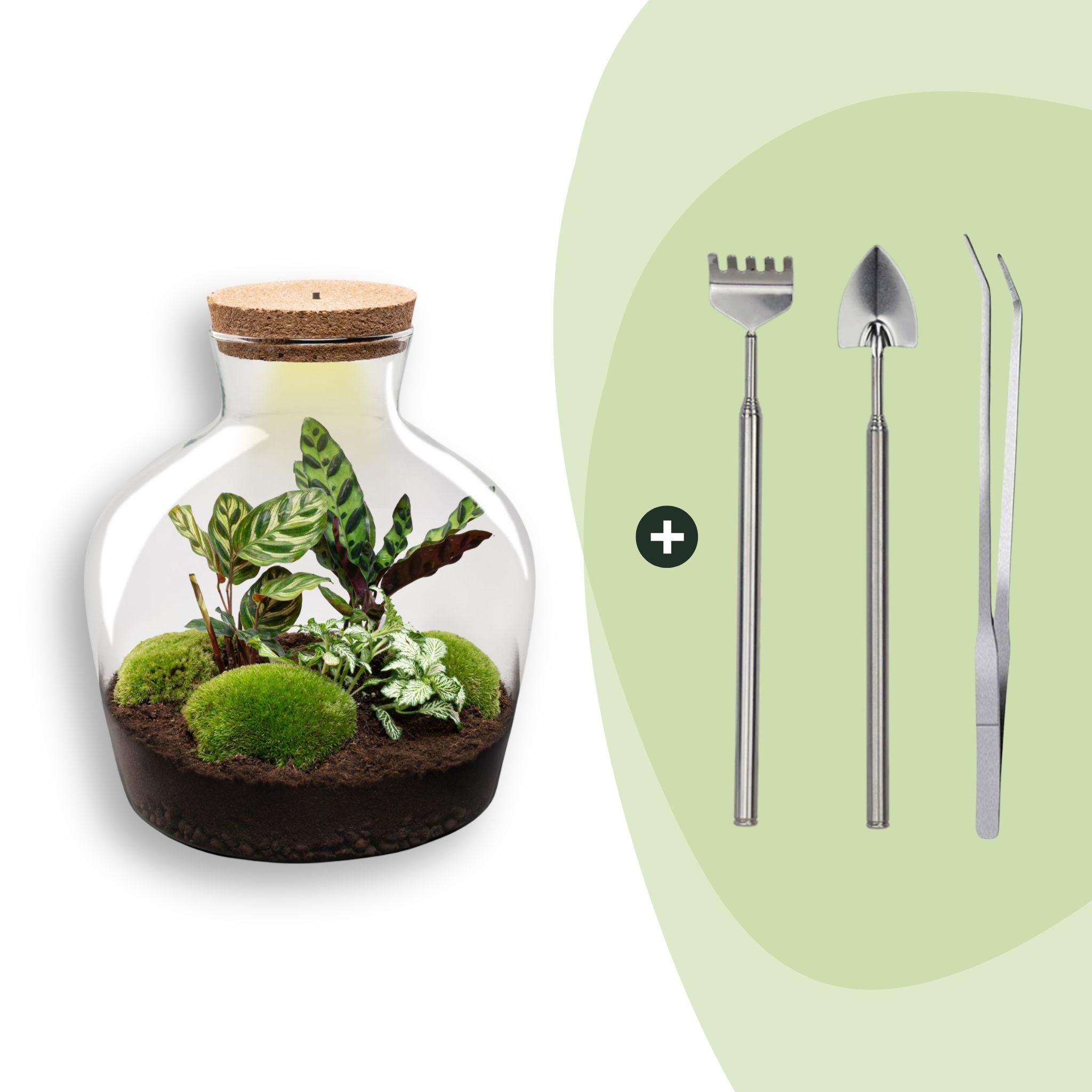 DIY Planten terrarium met licht - Fat Joe - Ø 29 cm ↑ 30 cm - Rake + Shovel + Tweezer (8720726958530)