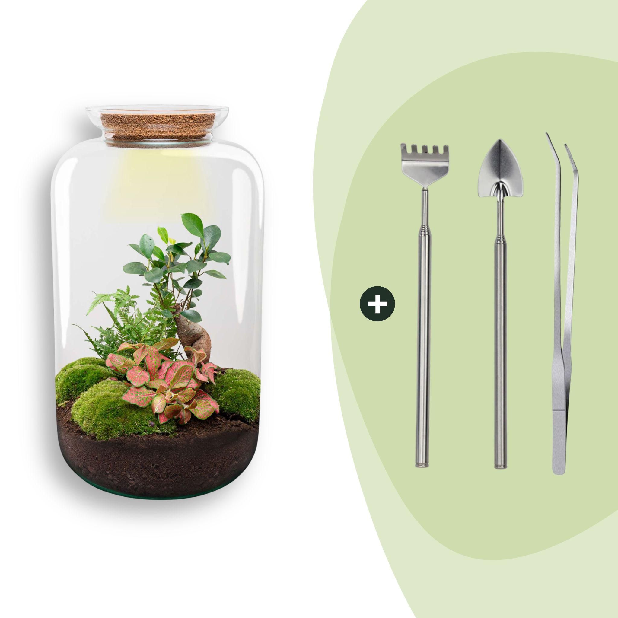DIY terrarium - Sven XL Bonsai - Met verlichting - Rake + Shovel + Tweezer (8720872020020)