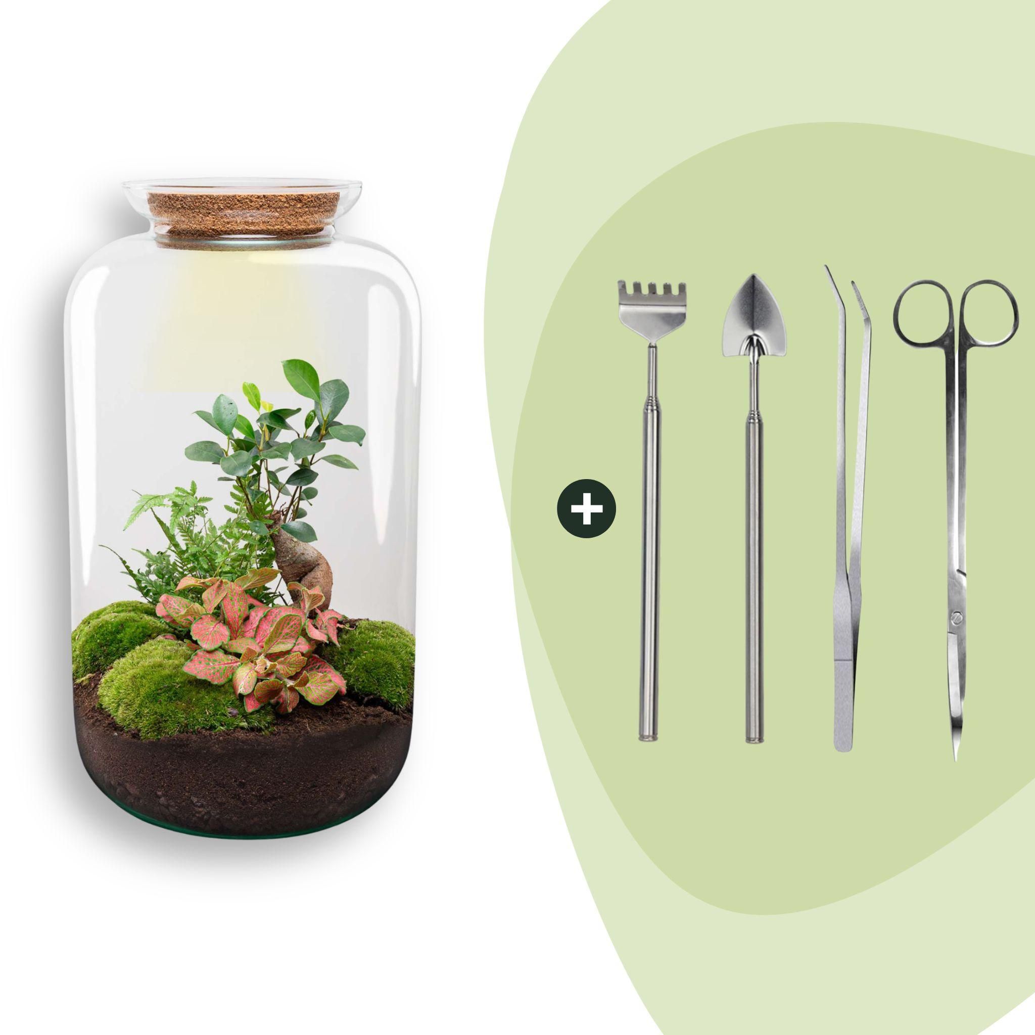 DIY terrarium - Sven XL Bonsai - Met verlichting - Rake + Shovel + Tweezer + Scissors (8720872020037)