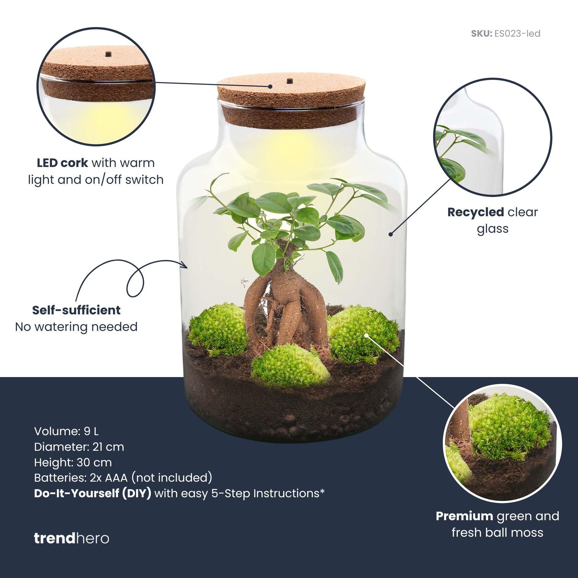 DIY Planten terrarium met licht - Milky Bonsai - Ø 21 cm ↑ 30 cm - Rake + Shovel + Tweezer + Scissors (8720726958189)