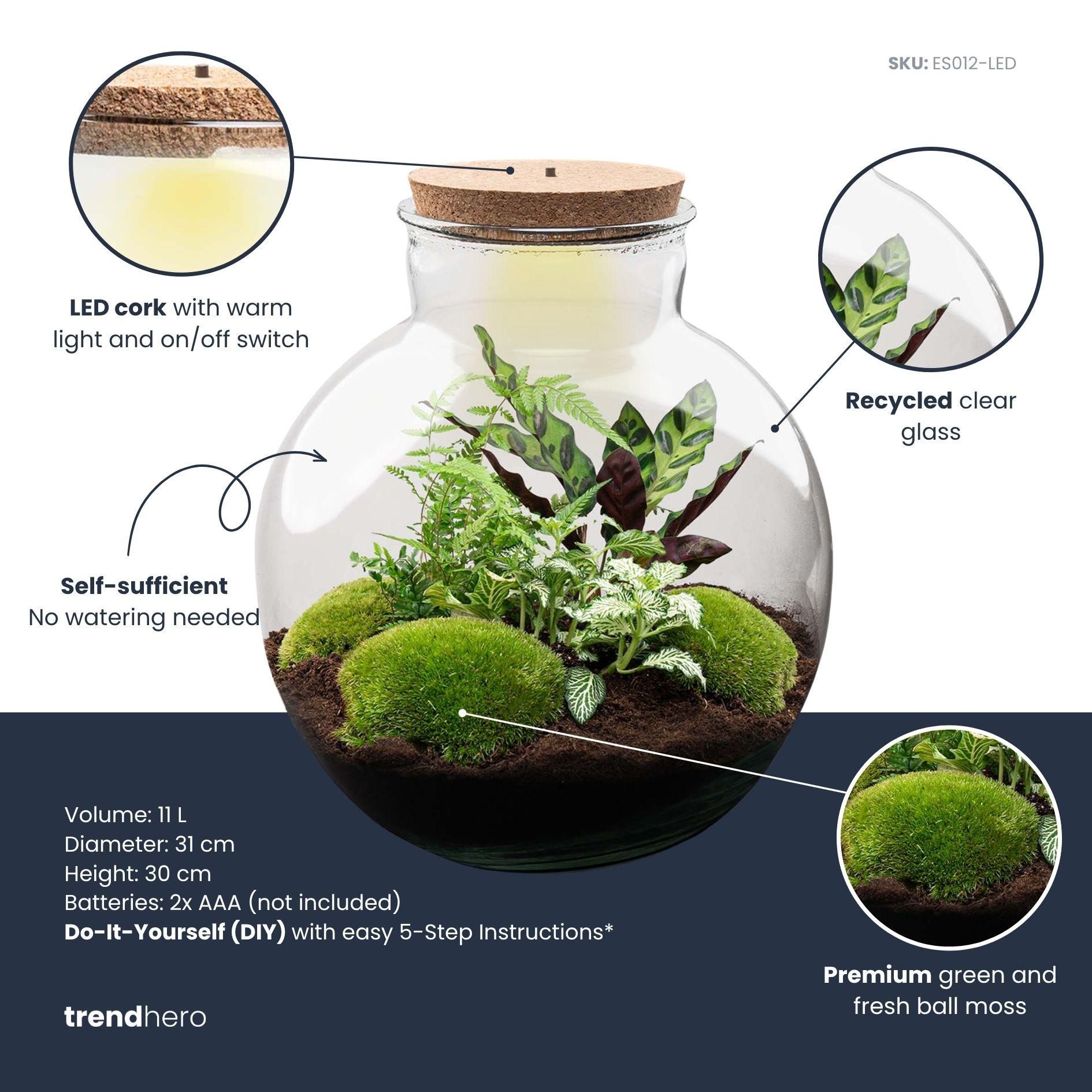 DIY Planten terrarium (met verlichting) - Bolder Bob - Ø 31 cm ↑ 30 cm - Rake + Shovel + Tweezer + Scissors (8720726958479)