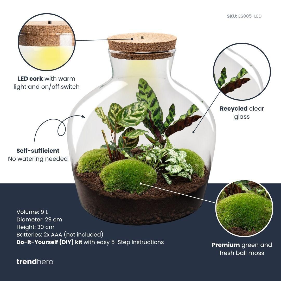 DIY Planten terrarium met licht - Fat Joe - Ø 29 cm ↑ 30 cm - Rake + Shovel + Tweezer + Scissors (8720726958547)