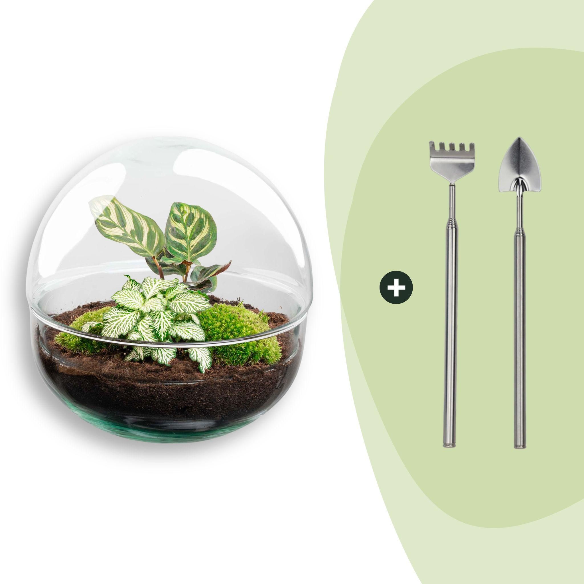 DIY Planten terrarium tweedelig bolglas - Dome - Ø 20 cm ↑ 20 cm - Rake + Shovel (8720726958721)
