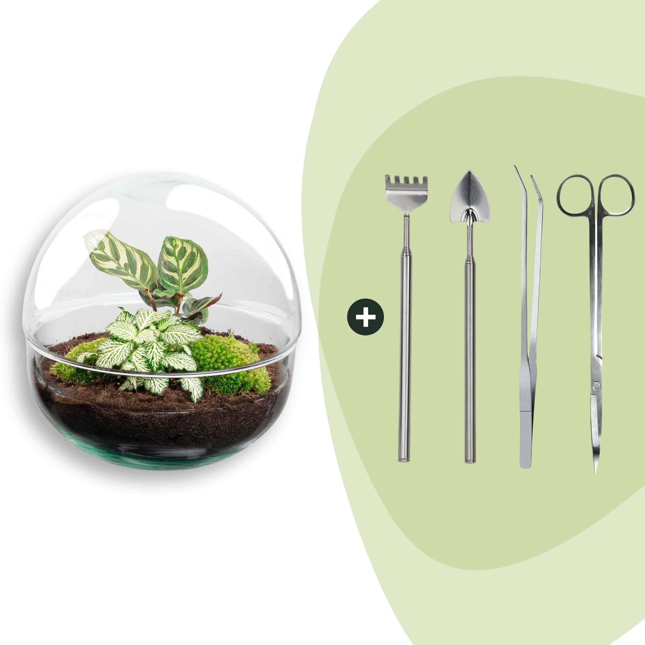 DIY Planten terrarium tweedelig bolglas - Dome - Ø 20 cm ↑ 20 cm - Rake + Shovel + Tweezer + Scissors (8720726958745)
