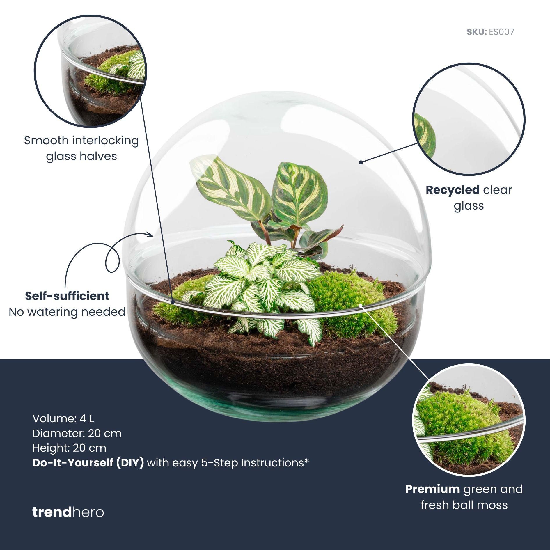 DIY Planten terrarium tweedelig bolglas - Dome - Ø 20 cm ↑ 20 cm - Rake + Shovel + Tweezer + Scissors (8720726958745)