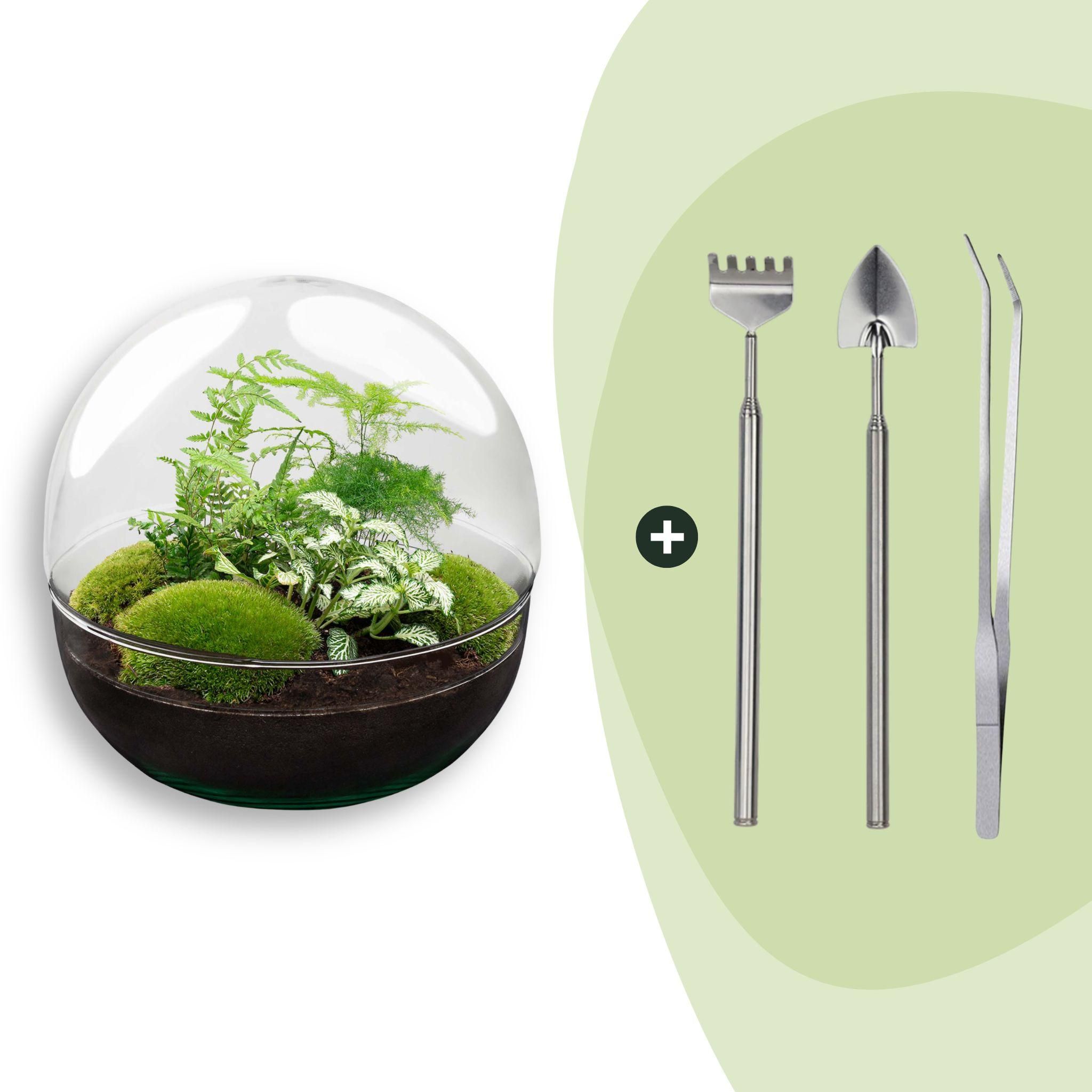 DIY Planten terrarium tweedelig bolglas - Dome XL -Ø 28 cm ↑ 28 cm - Rake + Shovel + Tweezer (8720726958875)