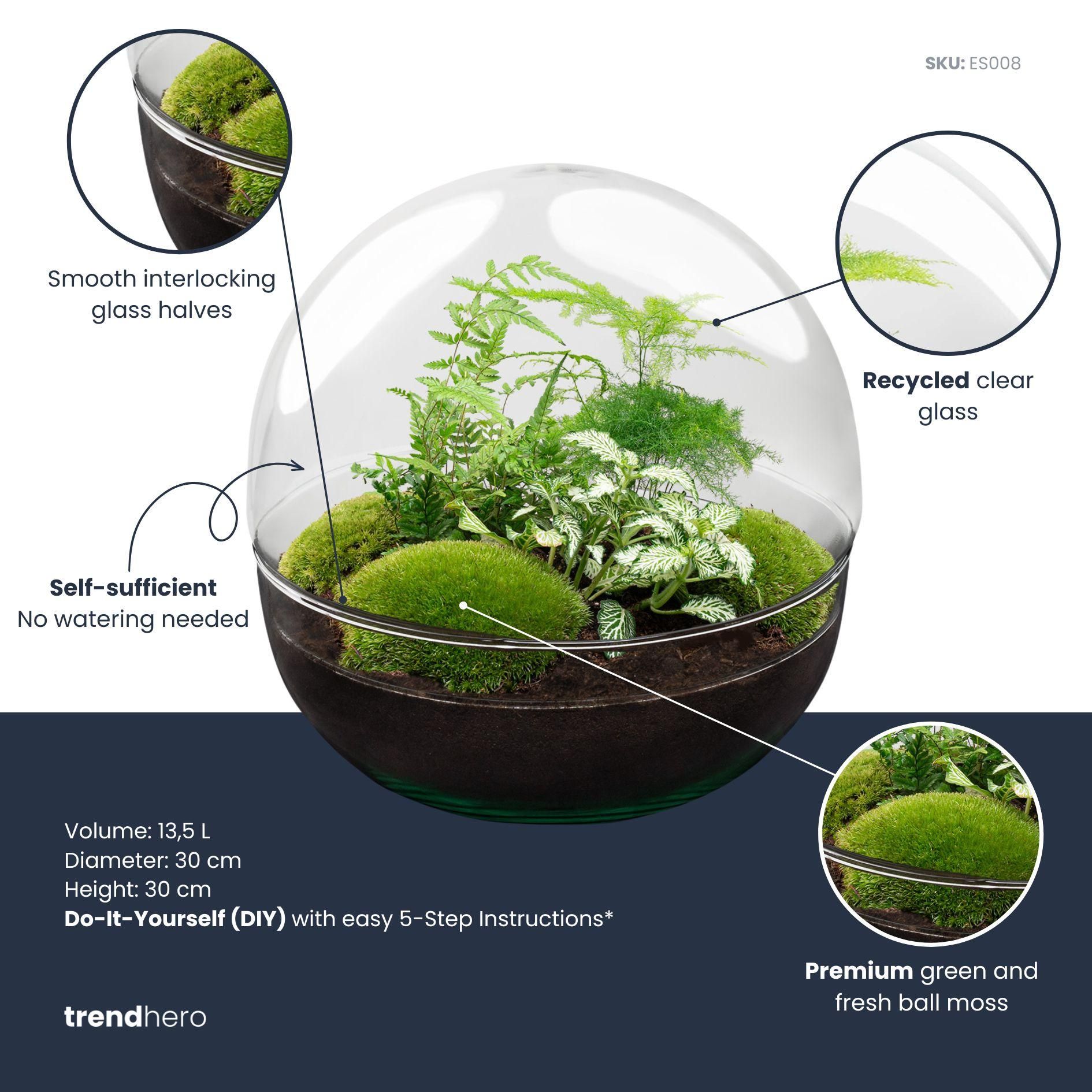 DIY Planten terrarium tweedelig bolglas - Dome XL -Ø 28 cm ↑ 28 cm - Rake + Shovel + Tweezer (8720726958875)