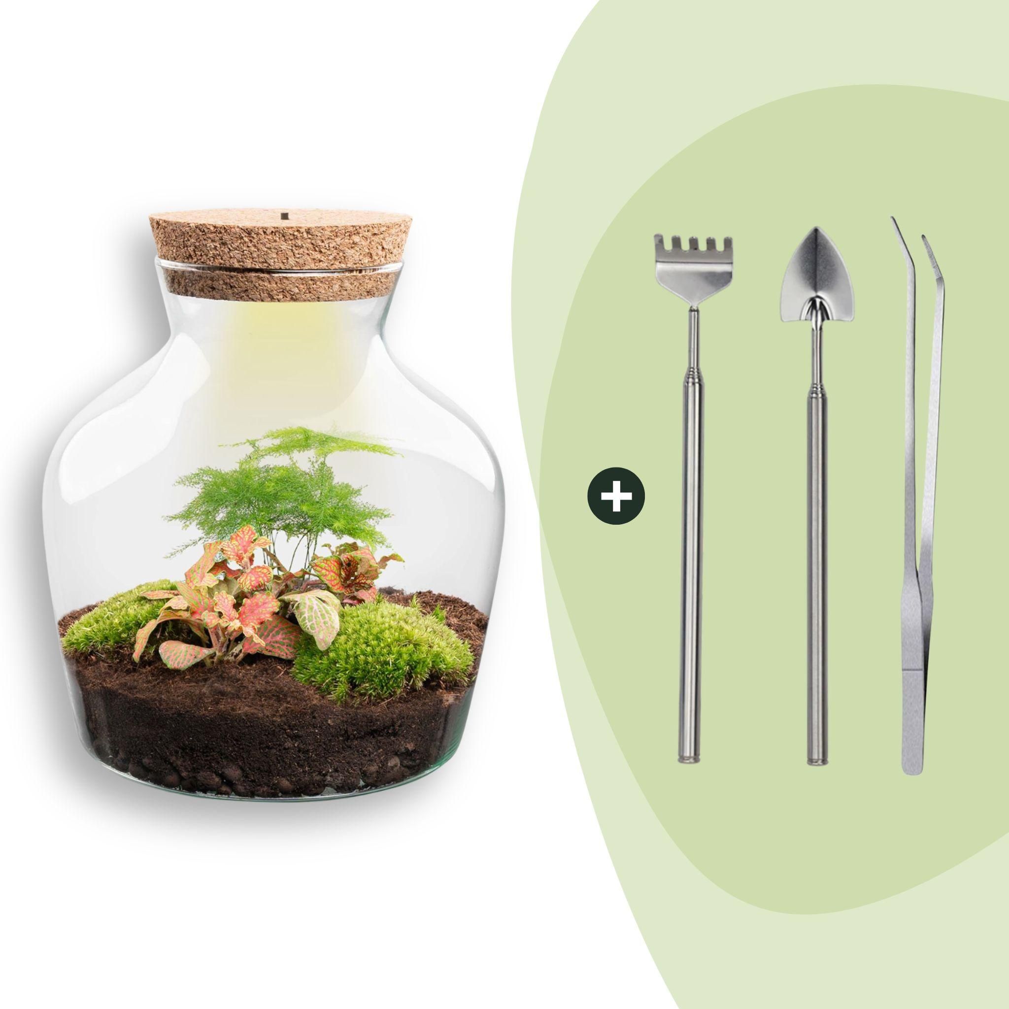 DIY terrarium - Little Joe met licht - ↕ 21,5 cm - Rake + Shovel + Tweezer (8720872020082)