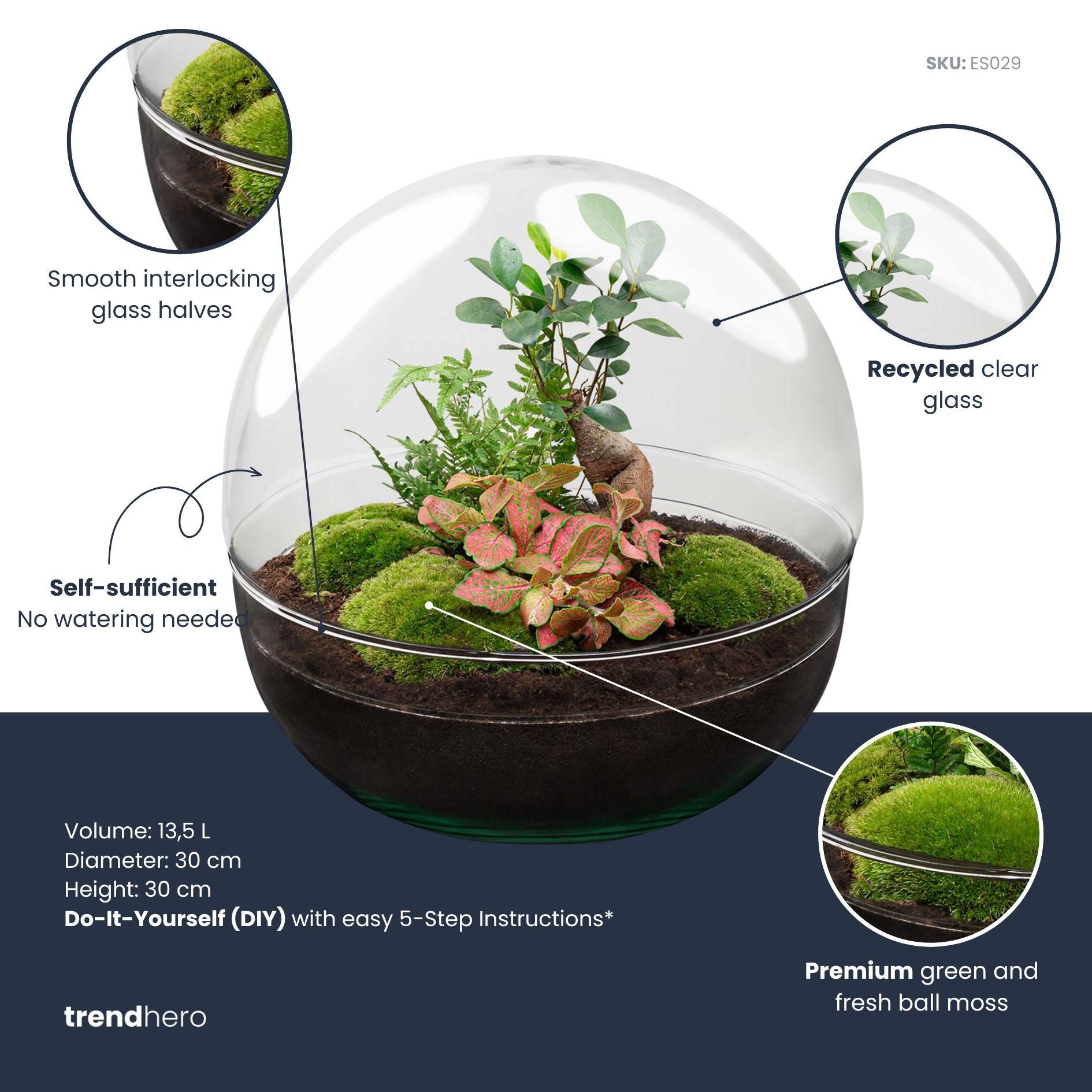 DIY Planten terrarium tweedelig bolglas - Dome XL Bonsai - Ø 28 cm ↑ 28 cm - Rake + Shovel + Tweezer (8720726958905)