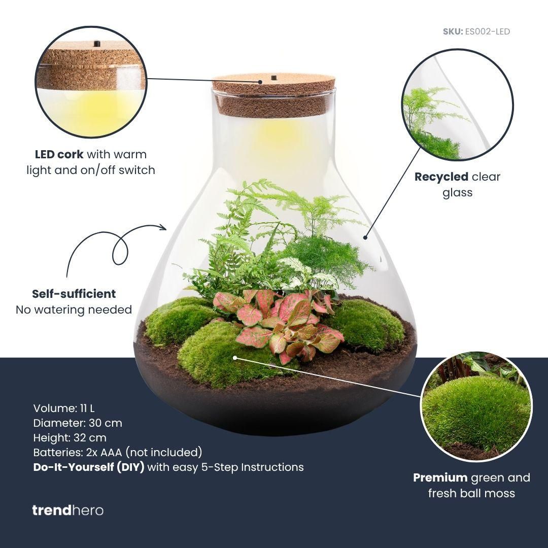 DIY Planten terrarium met licht - Sam XL Red - Ø 30 cm ↑ 32 cm - Rake + Shovel + Tweezer (8720726958110)