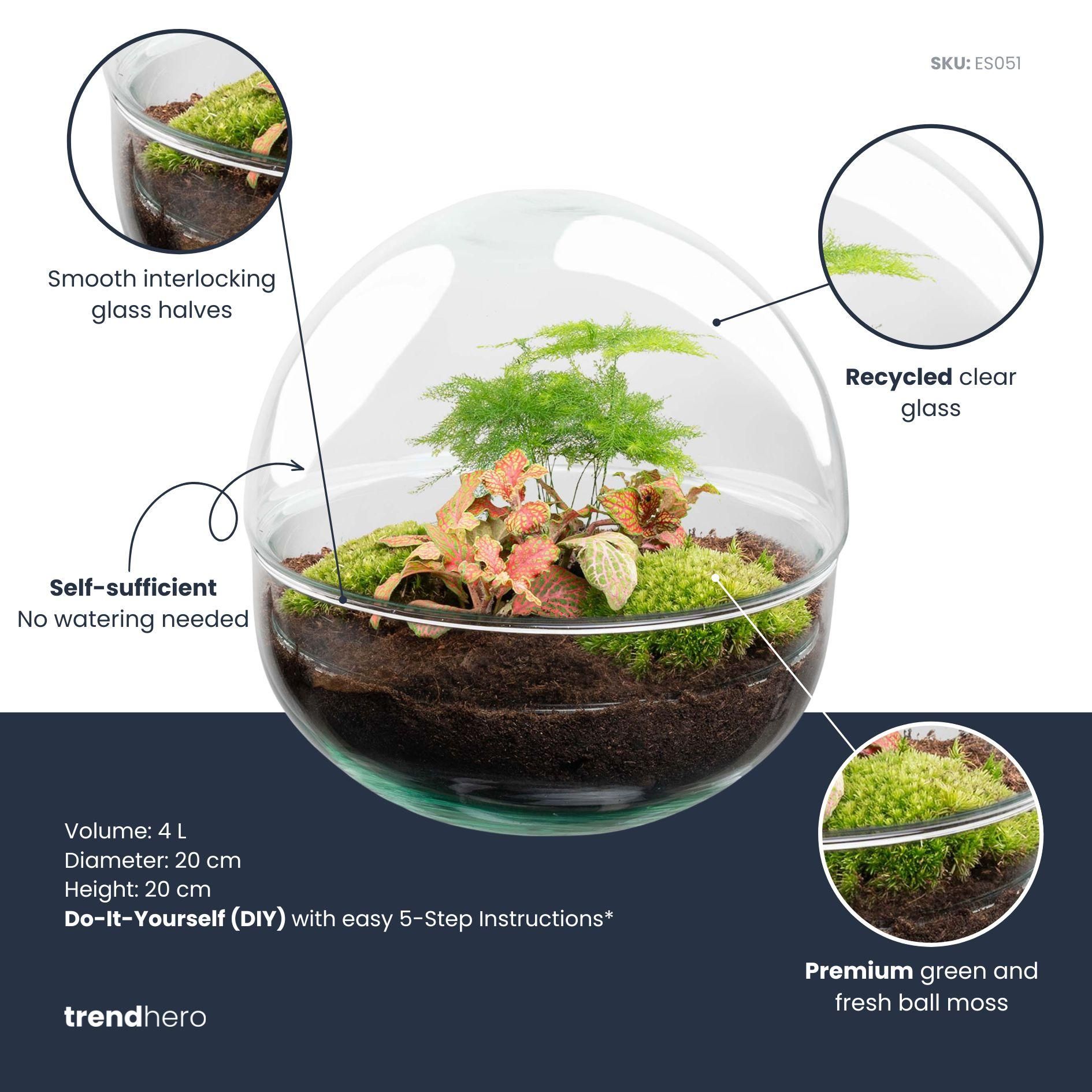 DIY Planten terrarium tweedelig bolglas - Dome Red - Ø 20 cm ↑ 20 cm - Rake + Shovel (8720726958769)