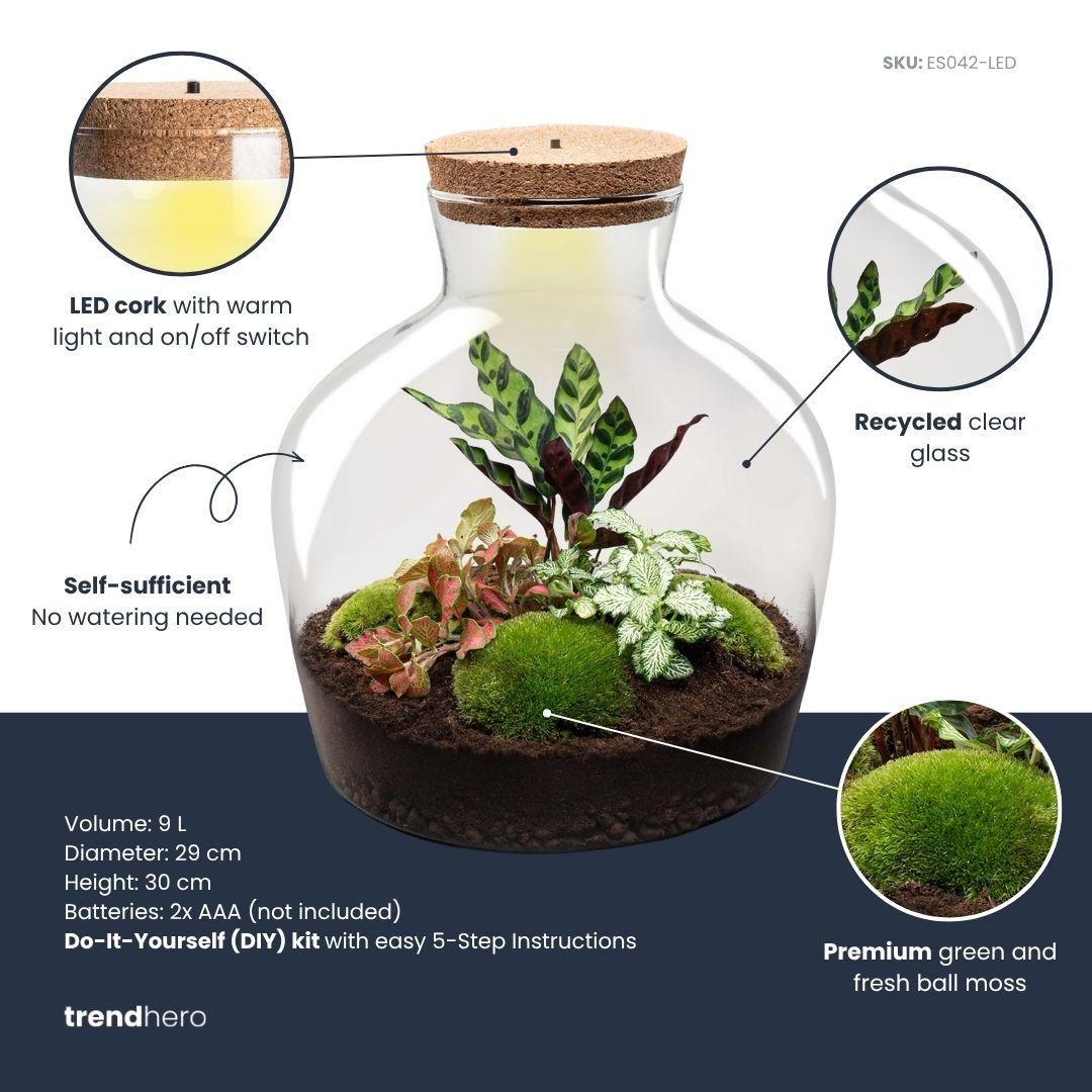 DIY Planten terrarium met licht - Fat Joe Red - Ø 29 cm ↑ 30 cm - Rake + Shovel + Tweezer (8720726958615)