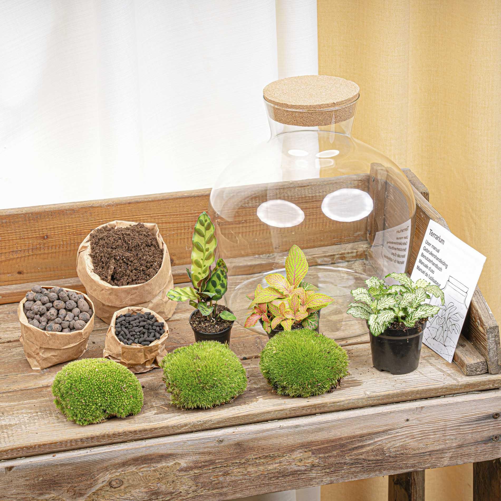 DIY Planten terrarium met licht - Fat Joe Red - Ø 29 cm ↑ 30 cm - Rake + Shovel + Tweezer (8720726958615)