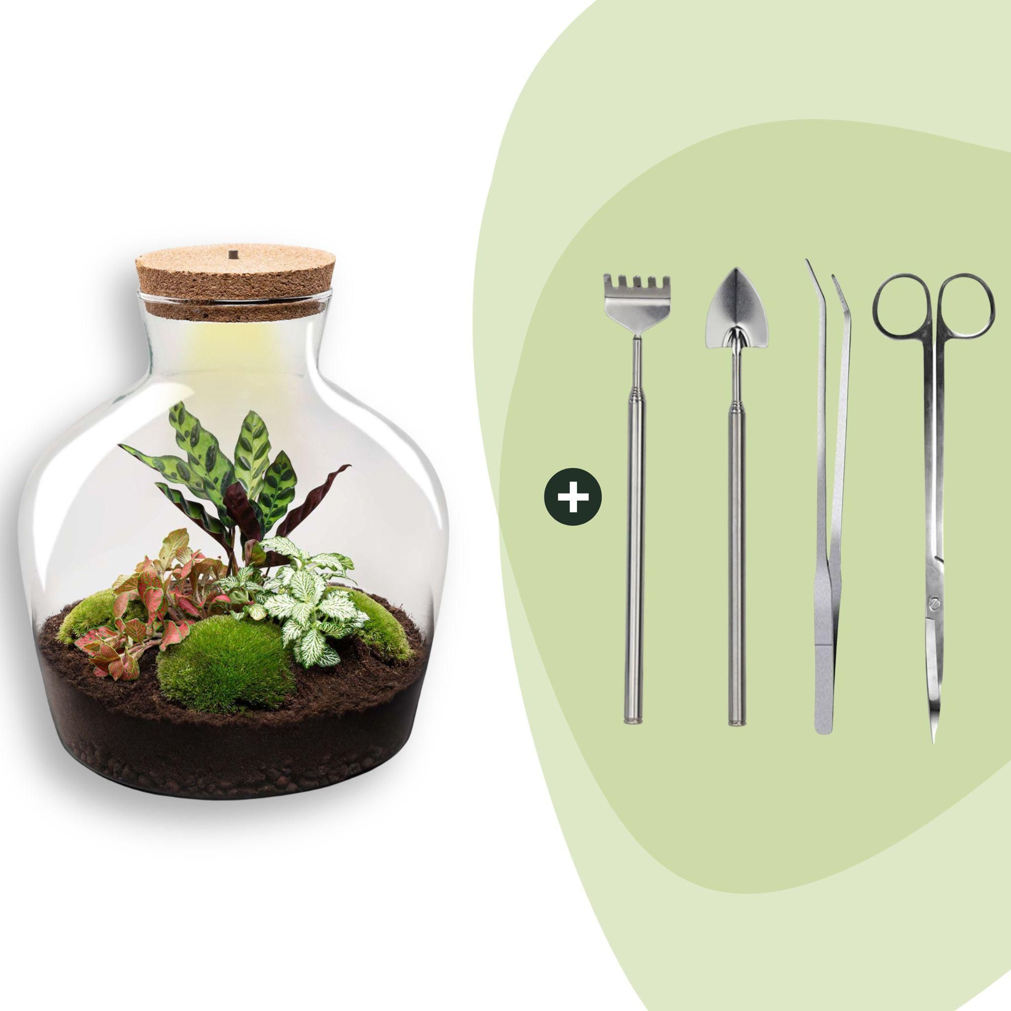 DIY Planten terrarium met licht - Fat Joe Red - Ø 29 cm ↑ 30 cm - Rake + Shovel + Tweezer + Scissors (8720726958622)