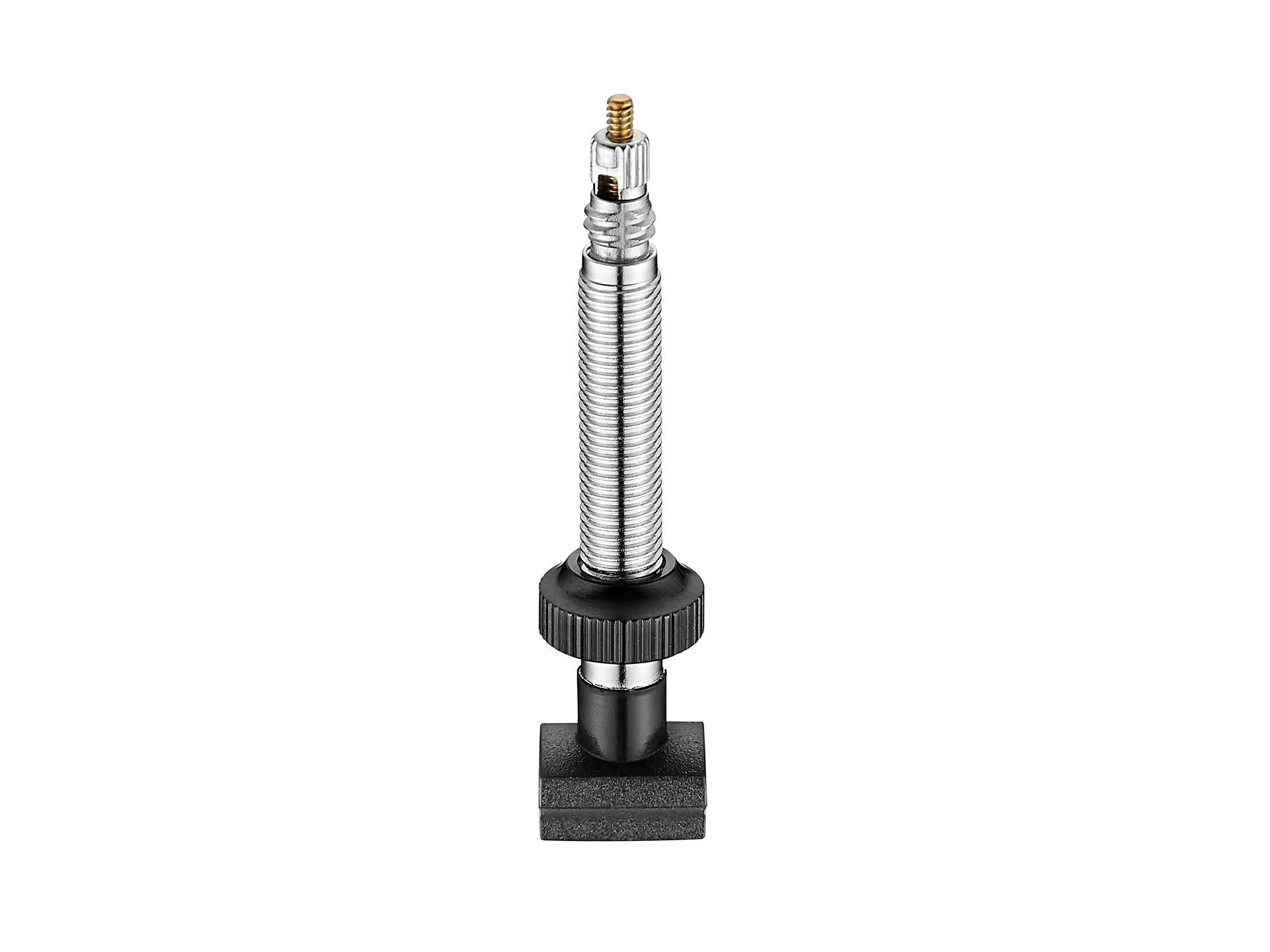 Giant Tubeless Valve Stem X2 For 24 (4718905877592)
