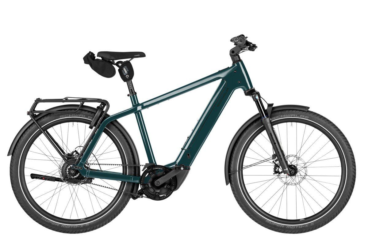 Riese & Müller Charger5 vario Pine 58cm ch5 58cm 58cm 2026 (4070477000977)