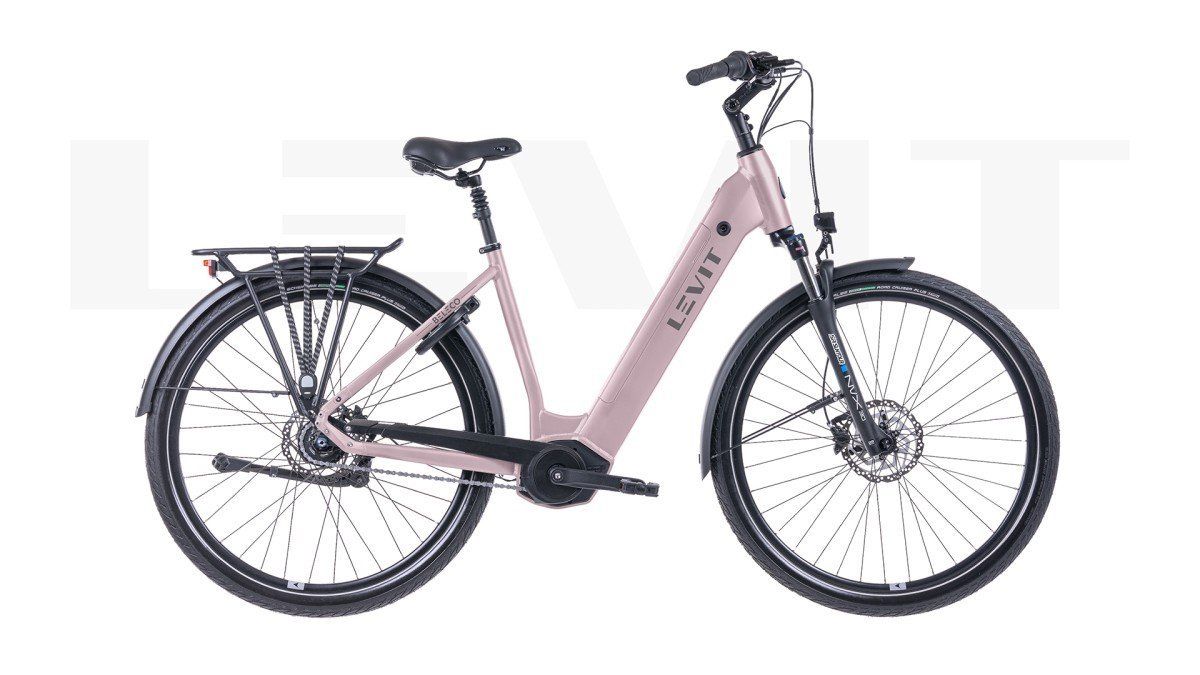 LEVIT BELECO 7 Dames Rose 50cm 2025 (8595174257401)