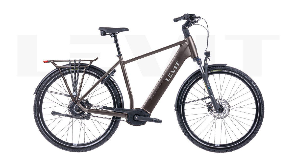 LEVIT BELECO 3 Heren Allspice 60cm 2025 (8595174256817)