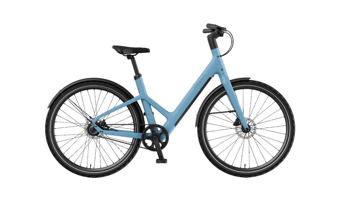 Reany W1 Nevelblauw 48cm 2026 (F.76170)