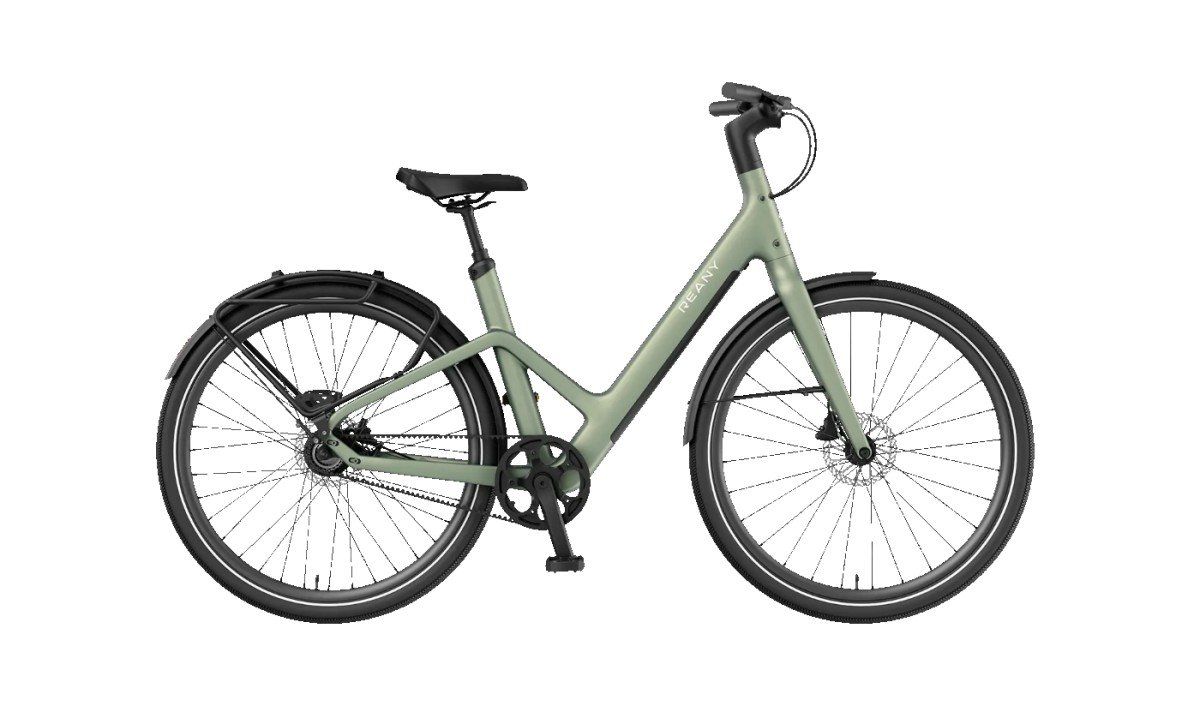 Reany W1 GT Sage green 48cm 2026 (F.76176)
