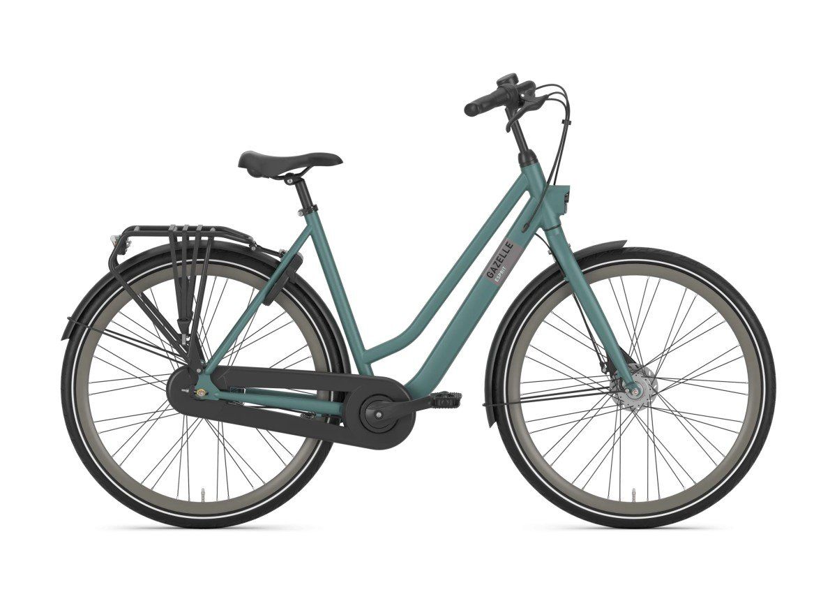GAZELLE Esprit DAMES Thyme Green Mat 49cm 2025 (8717231368978)