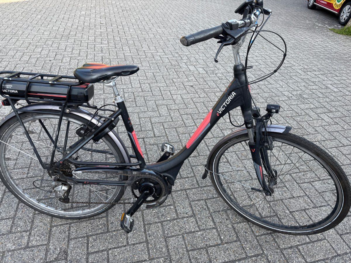 Victoria e Victoria 6.5 Holland Dames Matzwart 50cm 2016 (F.97162)